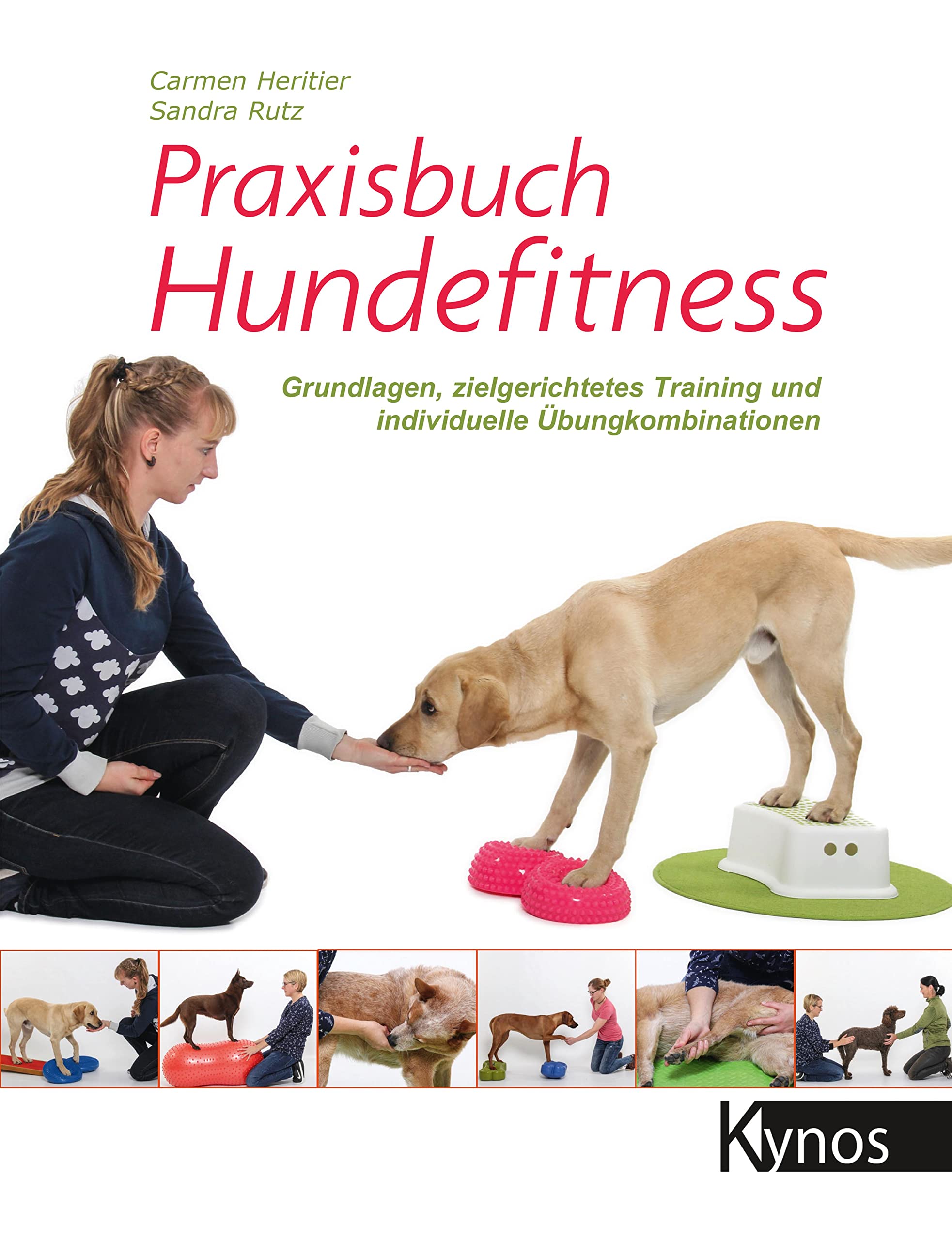 Praxisbuch Hundefitness: Grundlagen, zielgerichtetes Training und individuelle Übungskombinationen