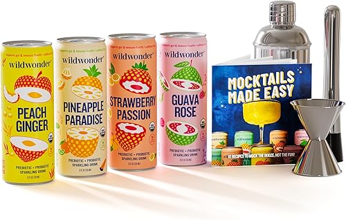 Wildwonder Juego y kit de regalo con agitador, jigger y libro de recetas, mezcladores de bebidas probióticas espumosas para regalos, salud