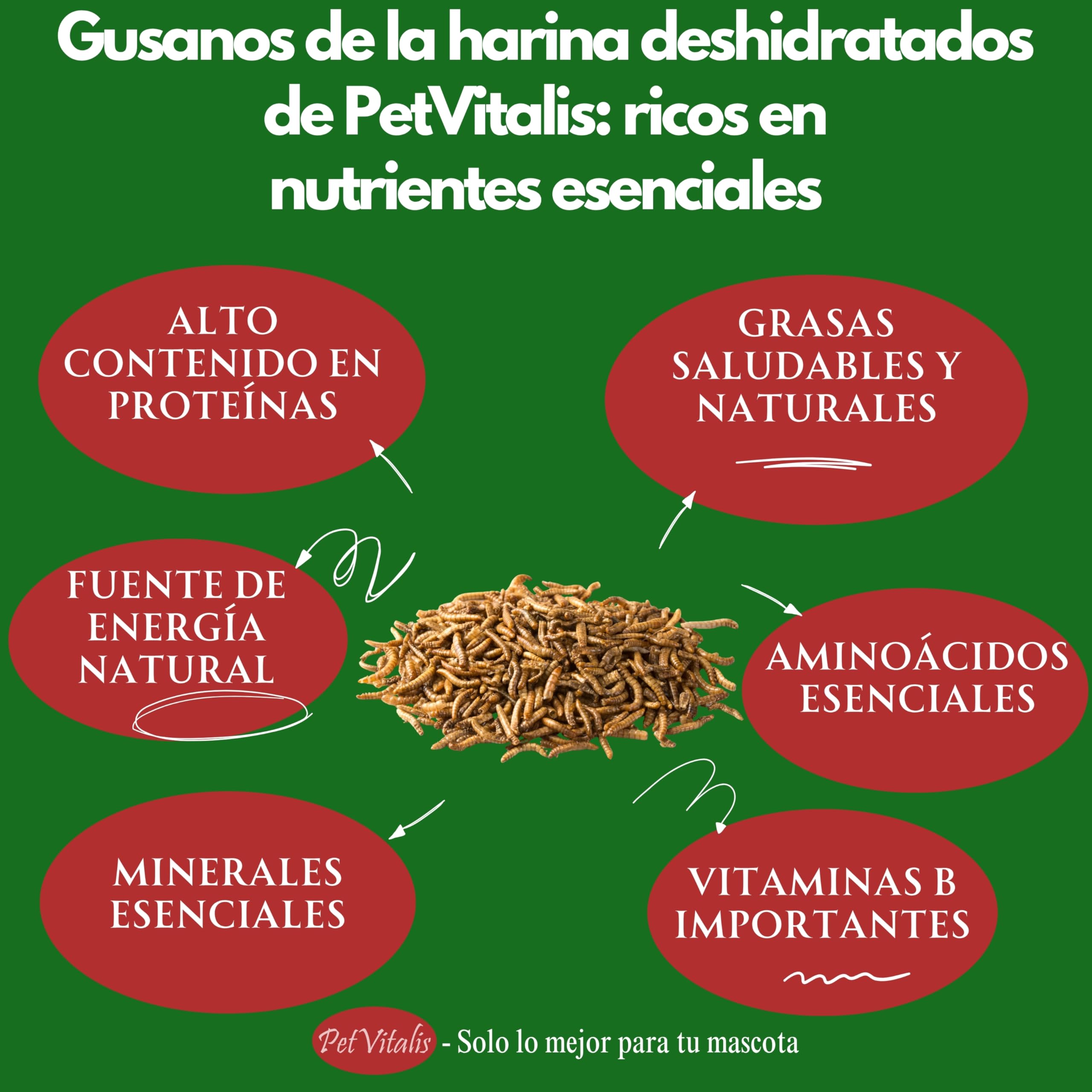 Gusanos de harina deshidratados: alimento Aves Silvestres, Snack Rico en proteínas para Peces, Reptiles y roedores, Ideal como complemento alimenticio Natural. (5 kg)