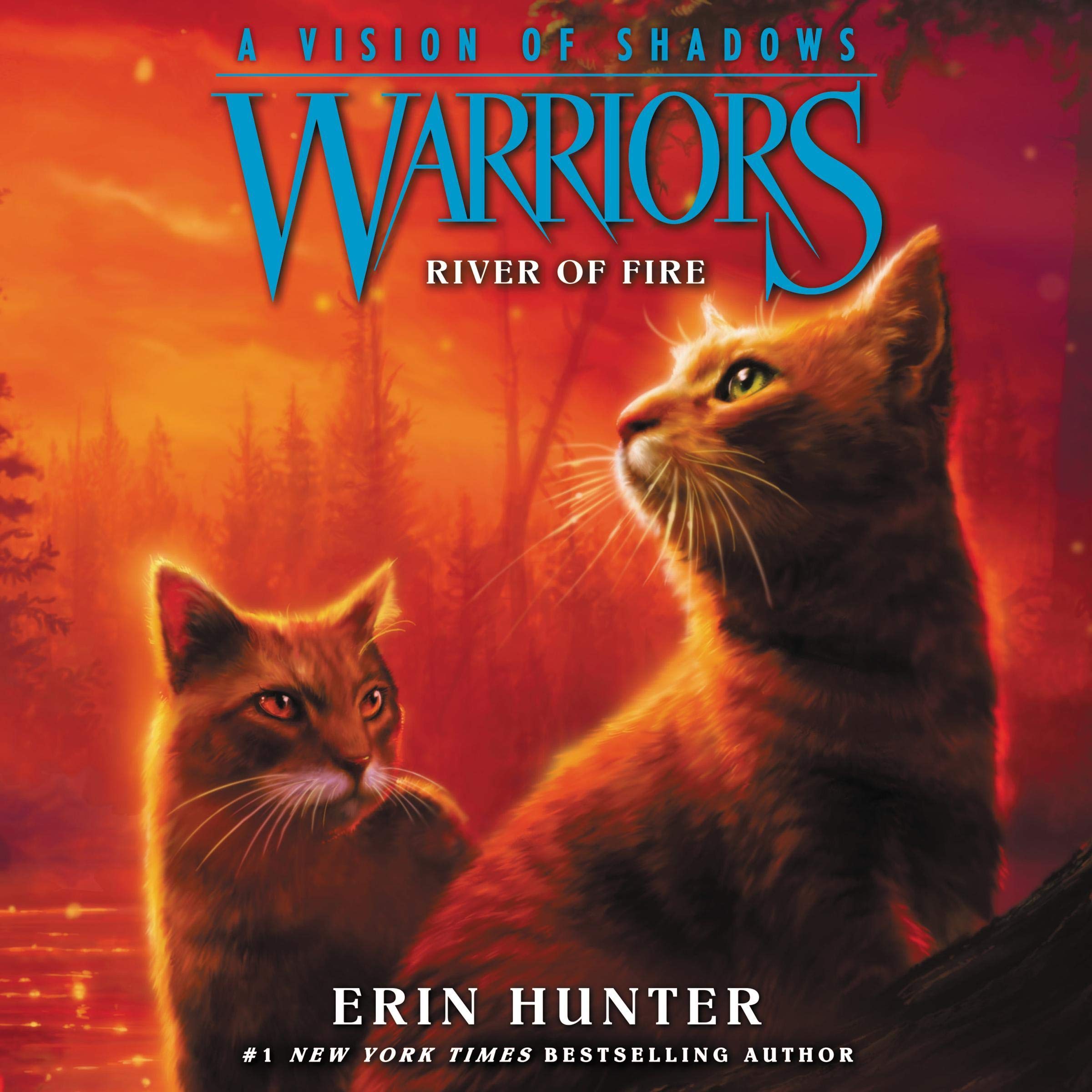 Cover art for Warriors: A Vision of Shadows #5: River of Fire