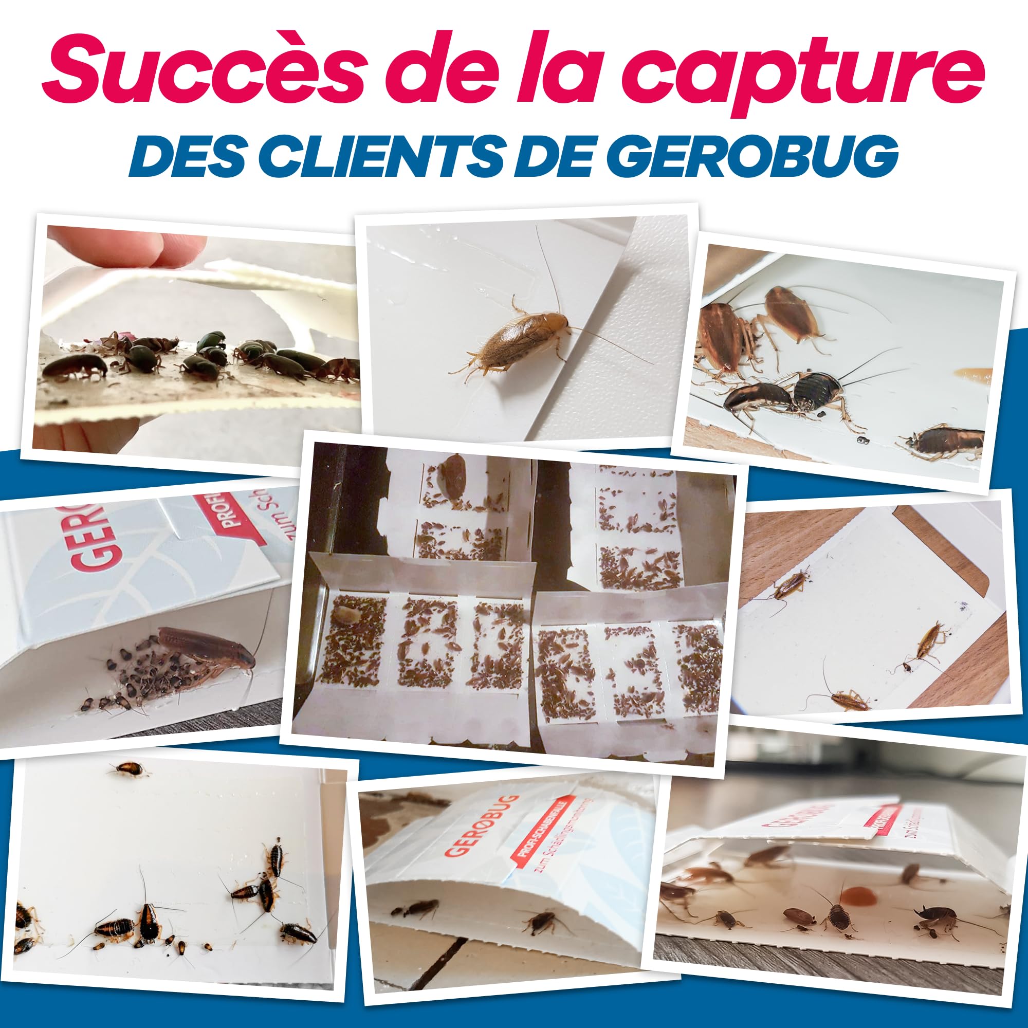 Gerobug Piège à cafards Professionnel 12 pièces - Piège à Colle pour surveiller les cafards