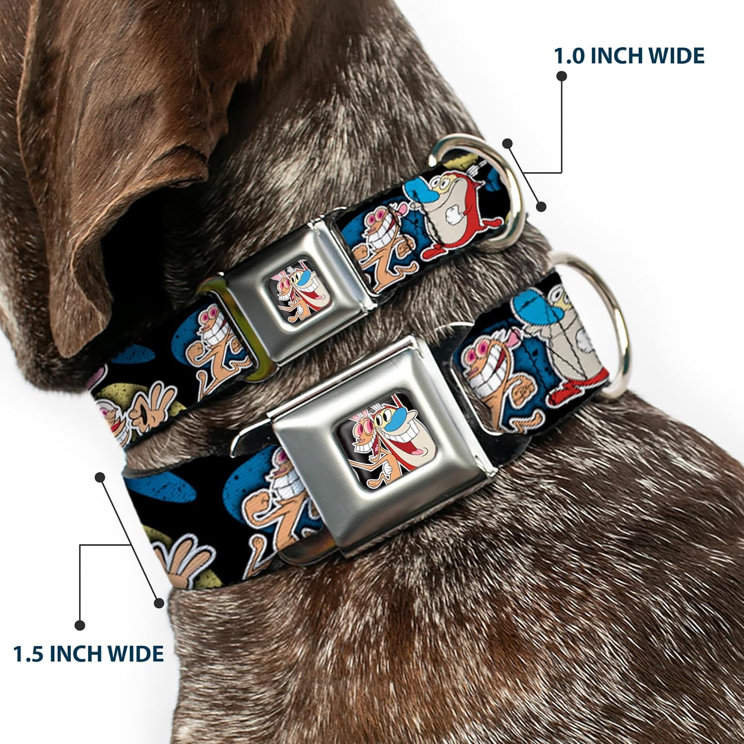 Dog Collar Seatbelt Buckle Ren Stimpy Poses Black Blue Yellow 9 to 15 Inches 1.0 Inch Wide