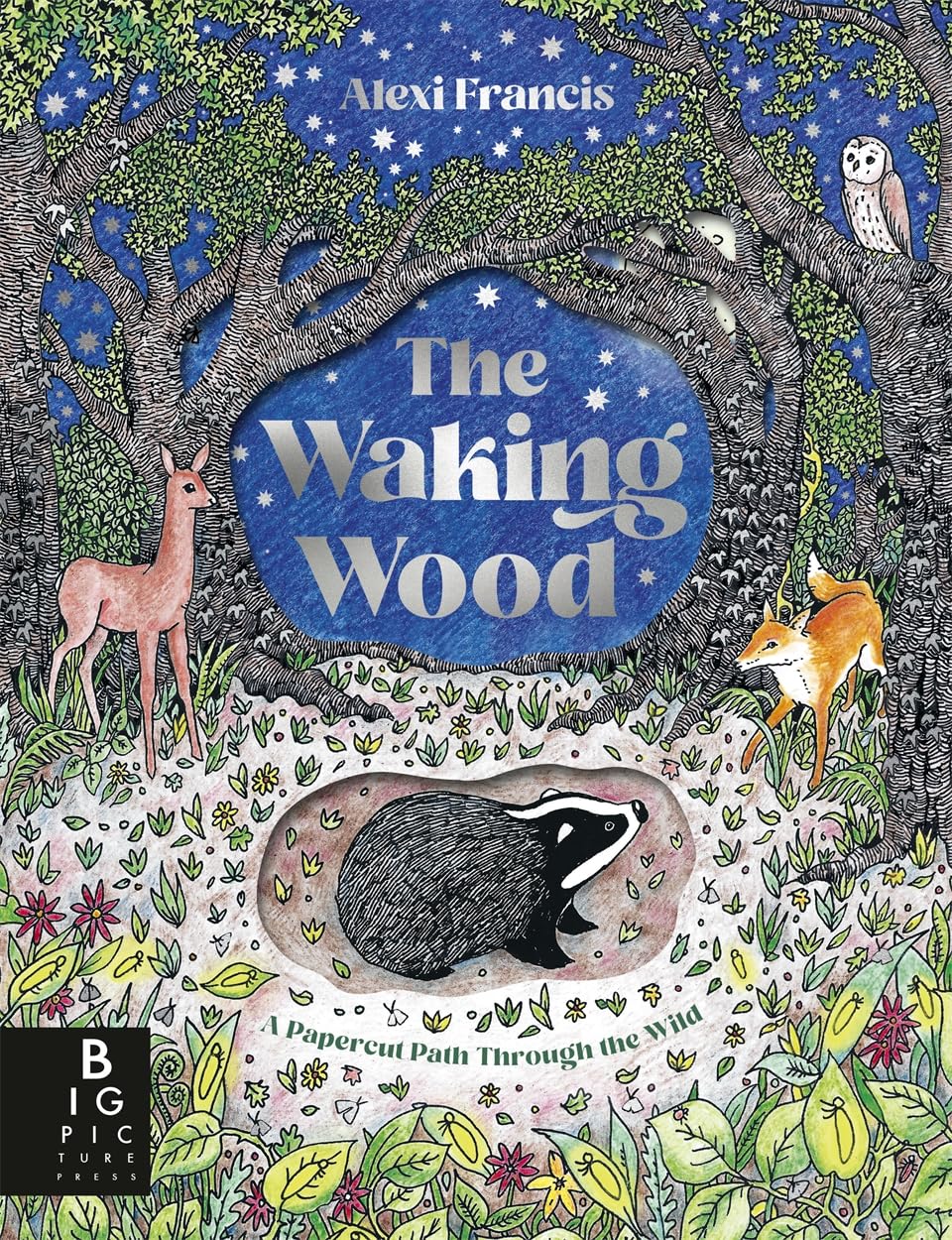 The Waking Wood: A beautifully illustrated modern fable with papercut pages