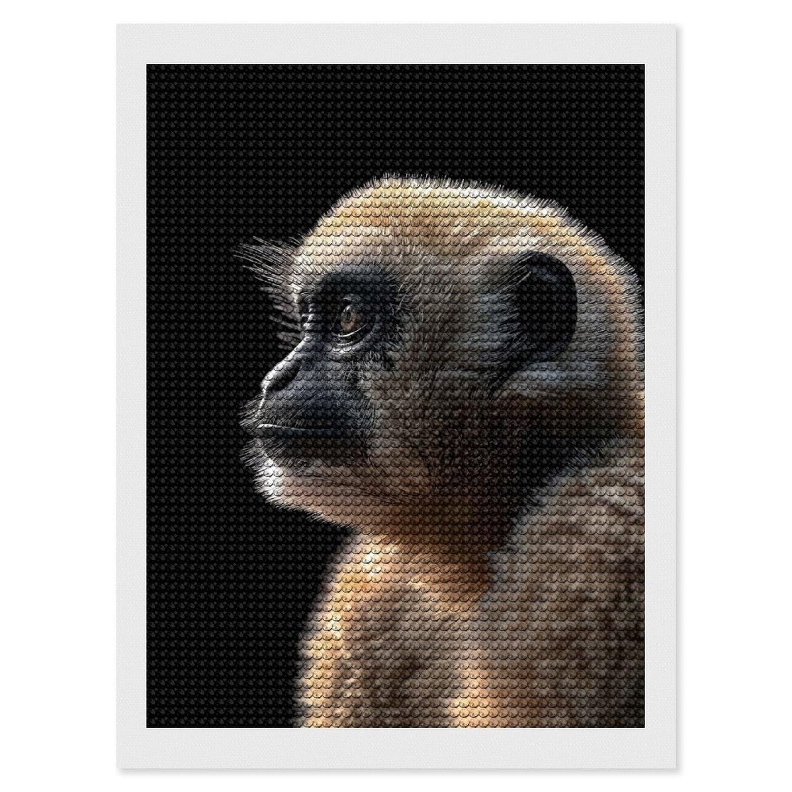 Junmoney Gibbon Round Drill Diamond Painting 12"x16", for Women, Relaxing DIY Hobby, Bedroom Decor, Christmas Gift, Adhesive Canvas