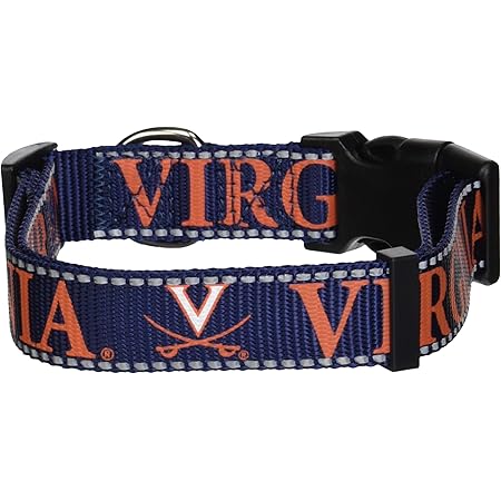 uva dog collar