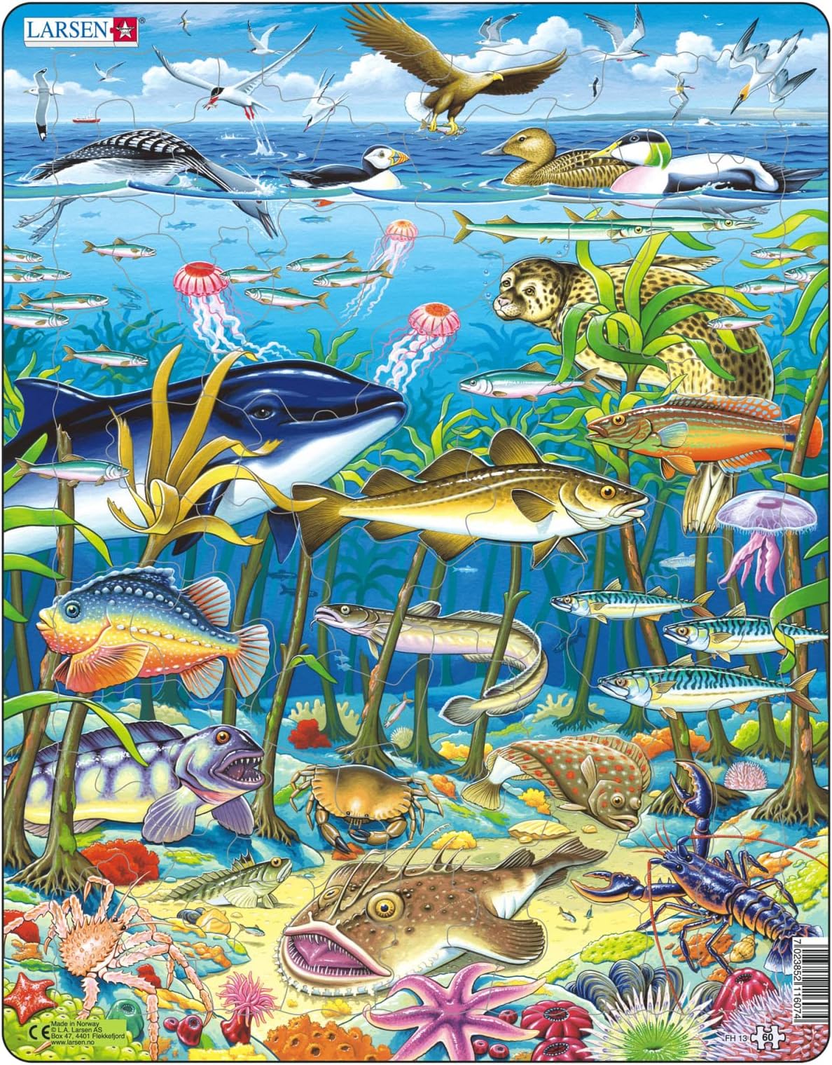 FH13 Marine Life in the North Atlantic Ocean Jigsaw for Children Ages 4 and Up - 60 Pieces| Shark Jigsaw Puzzle |Under Sea Puzzle for Kids| Boxless Tray & Frame Included | Made in Norway