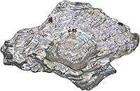 Vista 2 de Red Pomegranate Oyster - Cuenco de cristal para centro de mesa, tamaño único, perla