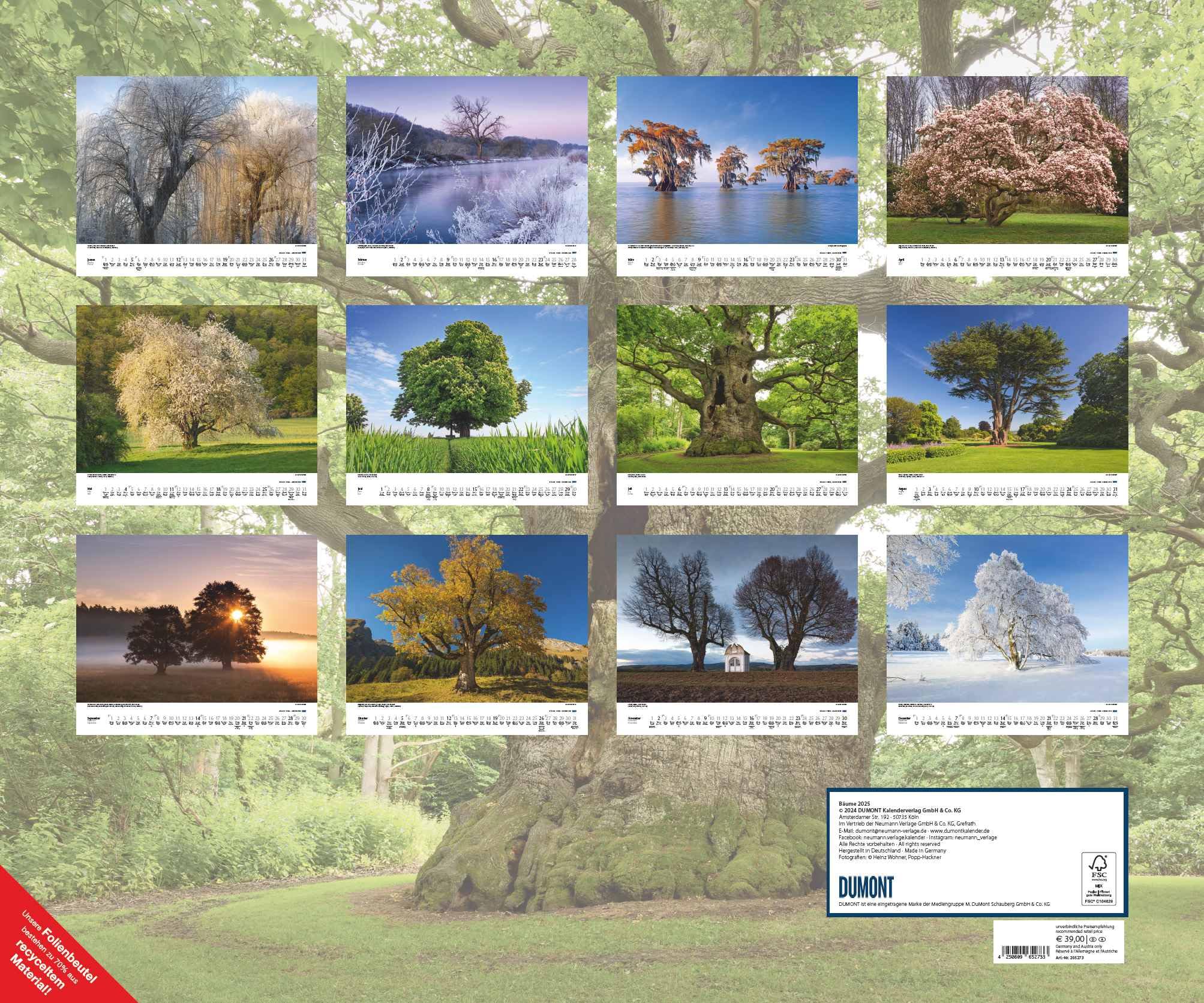 DUMONT - Bäume 2025 Wandkalender, 60x50cm, Fotokunst-Kalender mit Aufnahmen prächtiger Bäume, Abbildungen von Naturschönheiten aus aller Welt, mit Spiralbindung