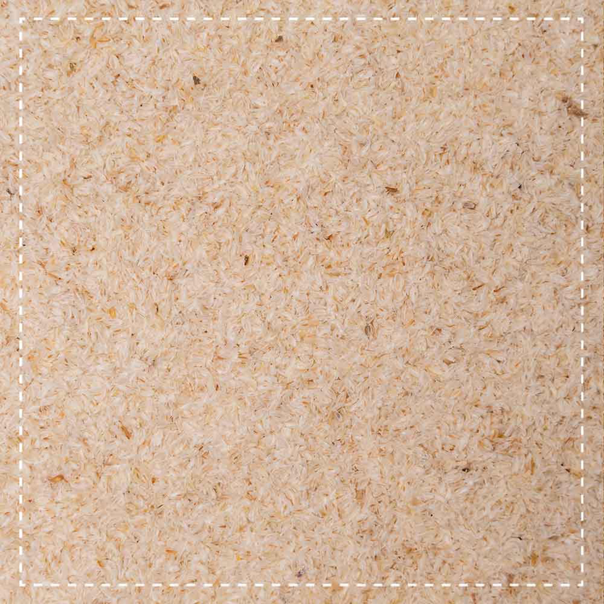 Biotiva Polvo de cascarilla de psyllium Bio 1000g (2x500g) - molido - Psyllium - rico en fibra dietética - Embotellado y controlado en Alemania