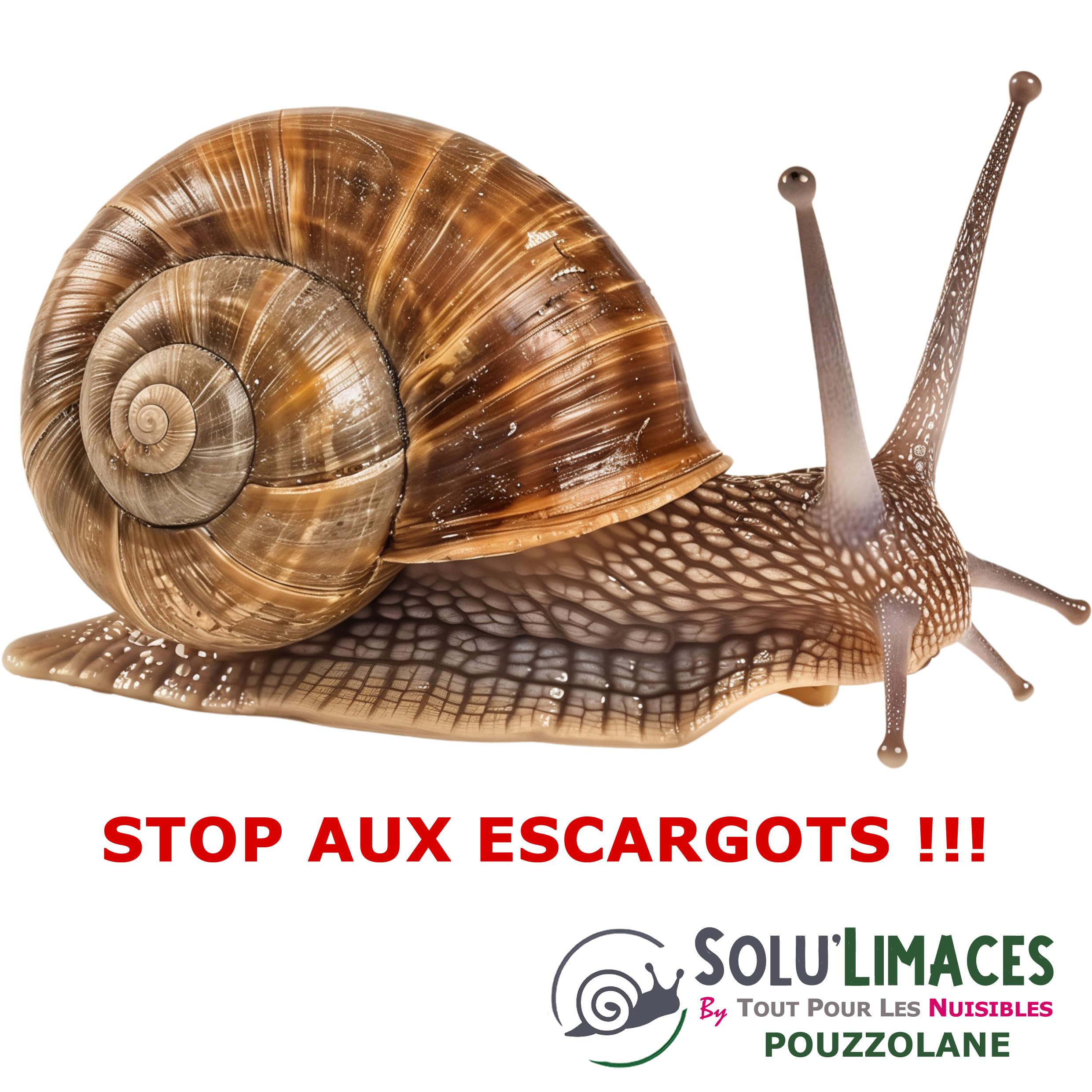 POUZZOLANE 5 kg - Barrière Anti Limaces, Escargots et autres gasteropodes - 100 % NATUREL ET ÉCOLOGIQUE- Produit Francais