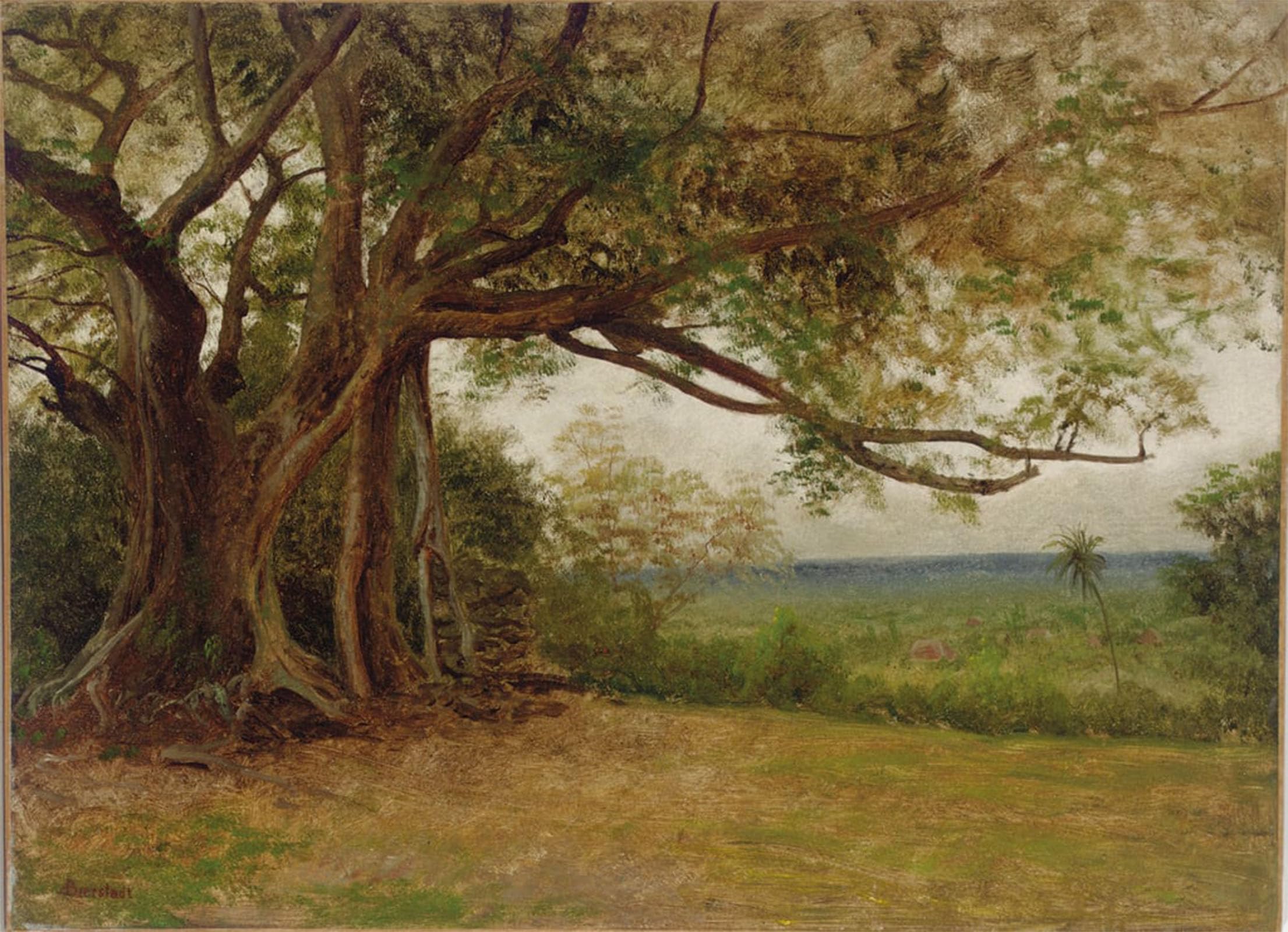 Tableaux Graffiti Art Mural SERENDIPITP impression Albert Bierstadt 60x90cm