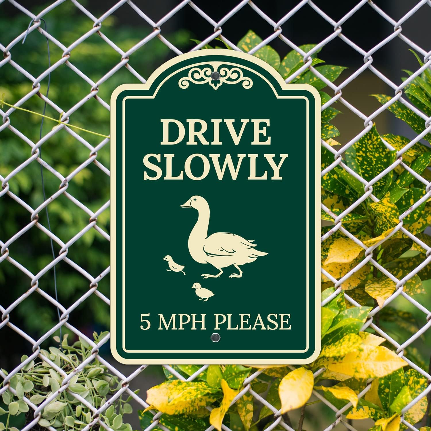 Drive Slowly 5 Mph Please with Duck and Ducklings Walking Graphic Décor Sign, Green Dark, 12x18 Inches, ACM, Fade Resistant, Made in USA