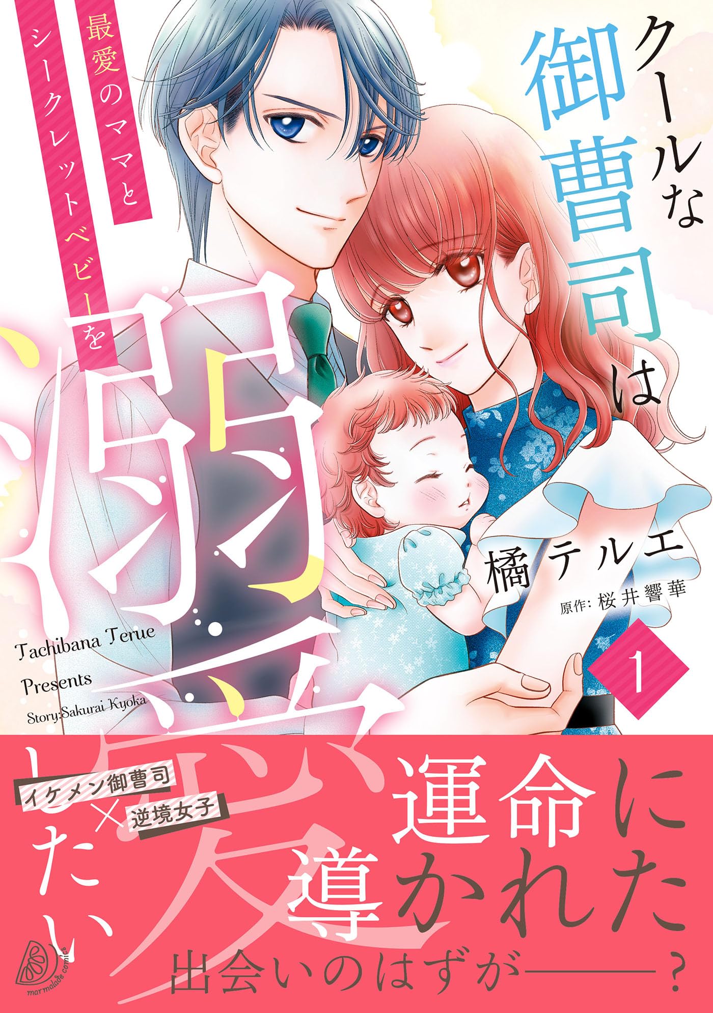 別れた御曹司と再会お嫁入り～シークレットベビーの極甘パパは溺愛旦那様でした～⭐️ Amazon.co.jp: 別れた御曹司と再会お嫁入り~シークレットベビー
