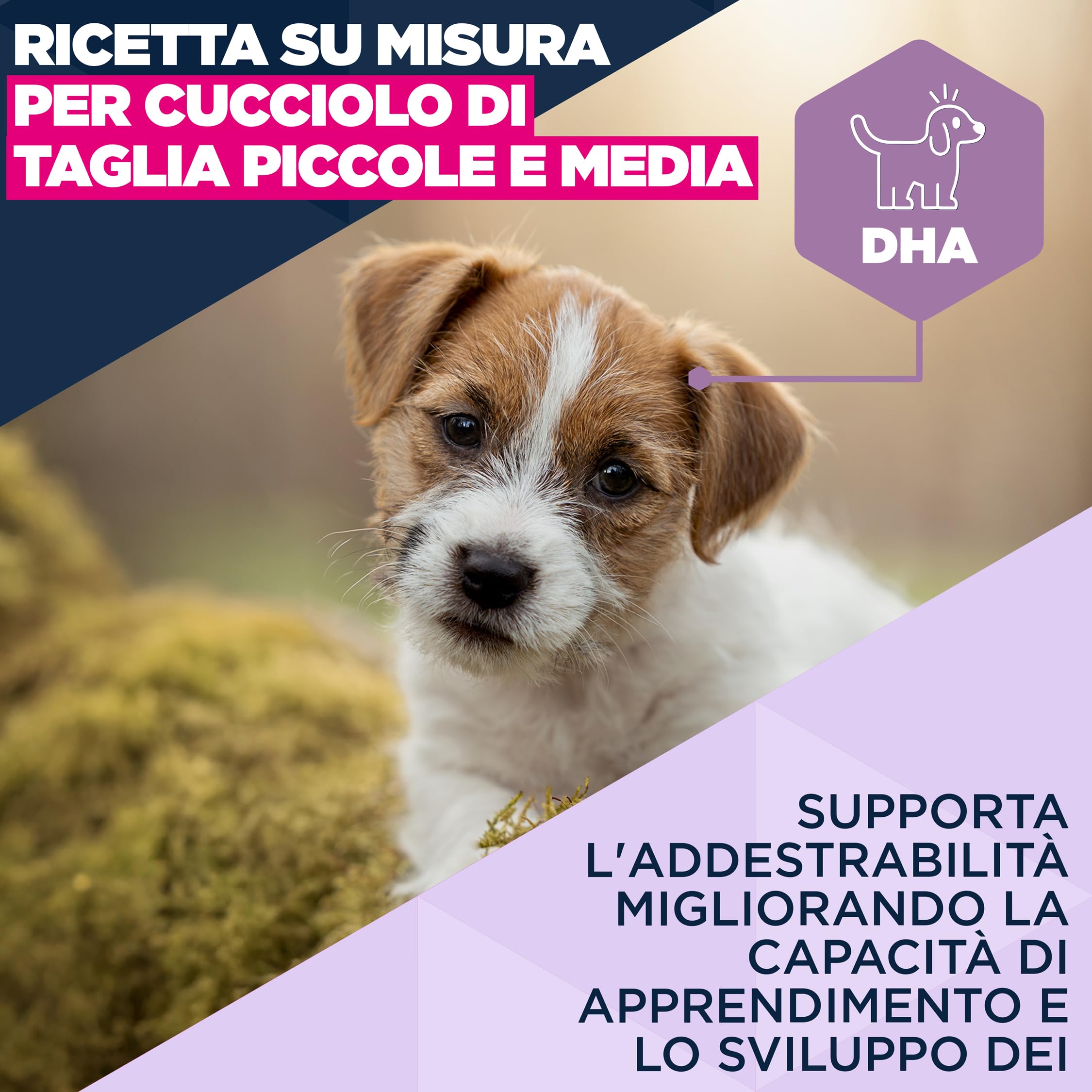 EUKANUBA Cibo secco per Cuccioli con agnello e riso per razze di taglia piccola e media - Alimento secco premium per Cani giovani, 3 kg