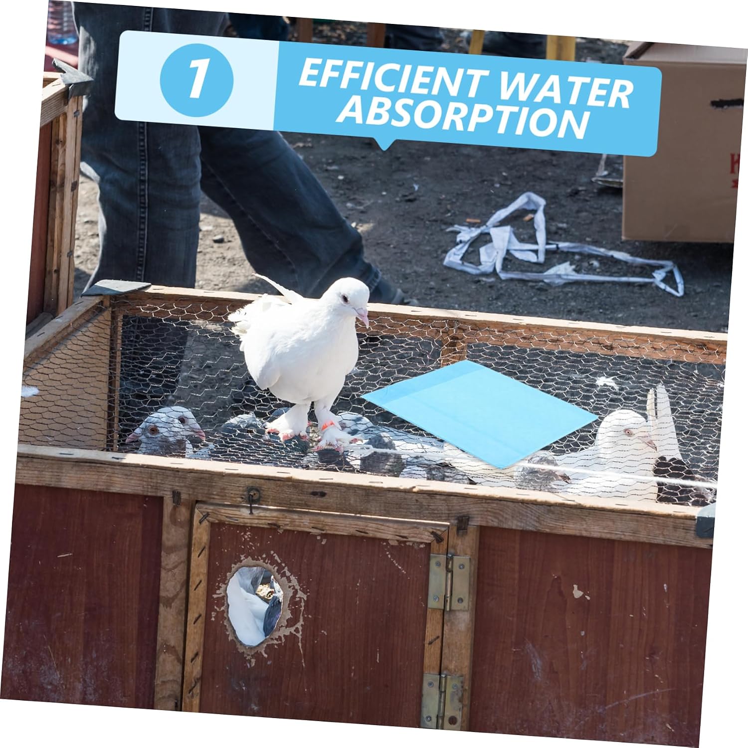 10Pcs Disposable Parrot Cage Chassis Pad Paper Water Absorbing Bird Cage Liner Breathable Leak Design for Bird Environments for Pet Bird Owners