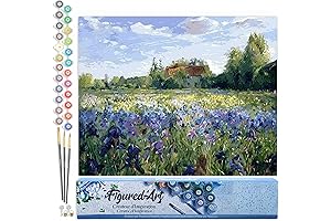Figured'Art Paint by Numbers DIY Kits for Adults 16\"x20\"- Countryside Field and...