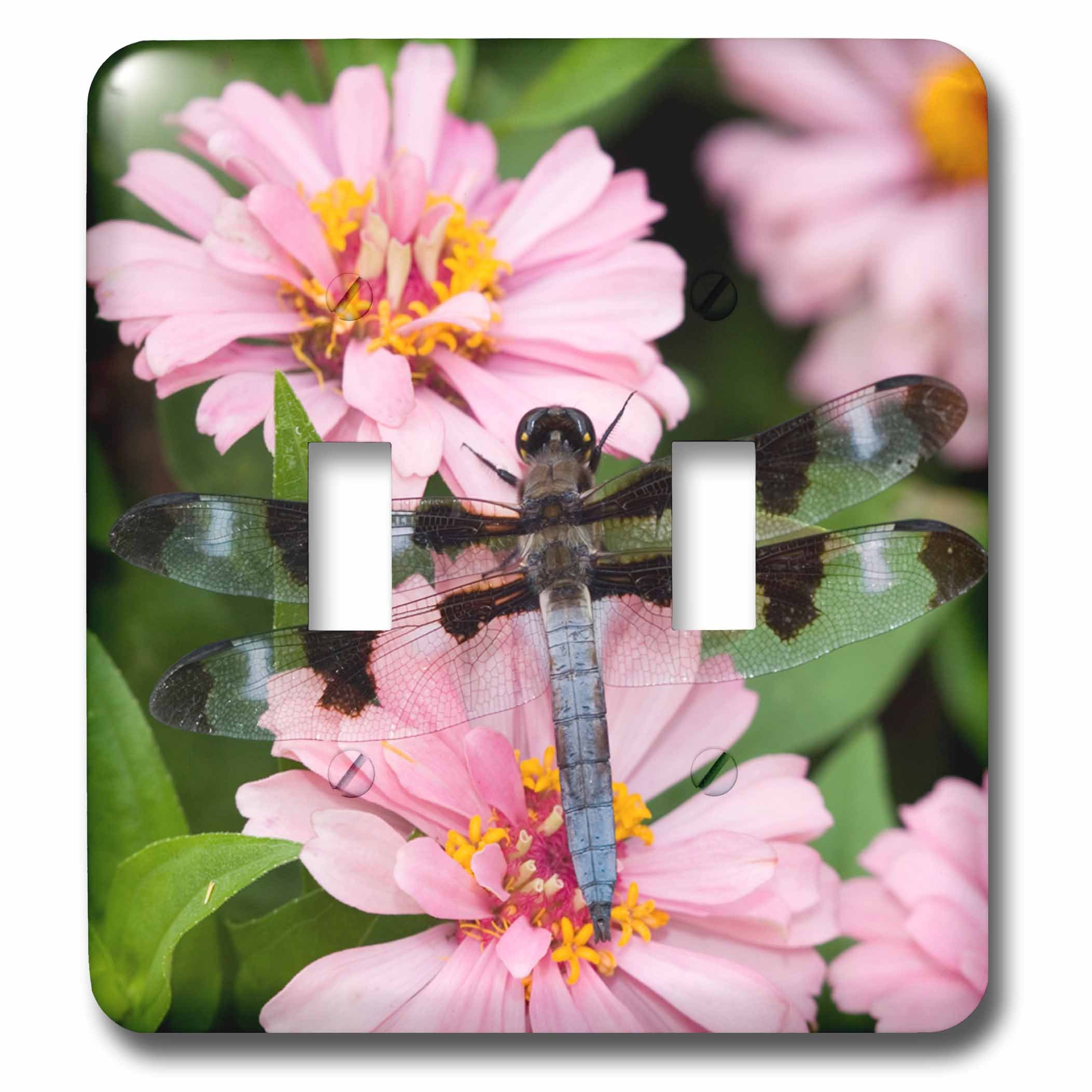 Double interrupteur à bascule décoratif libellule zinnia plaque murale 3dRose