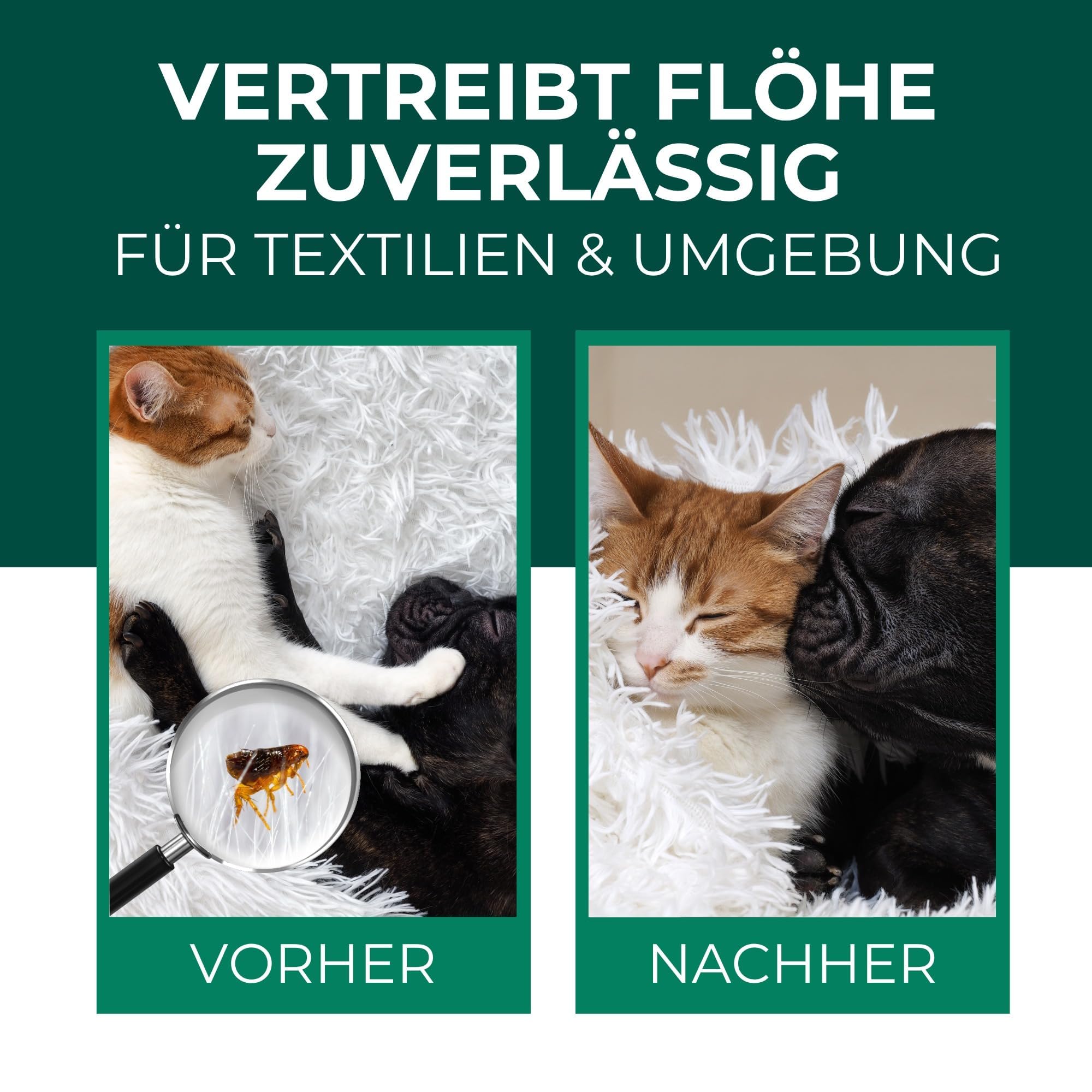 Silberkraft Flohspray für Wohnung & Möbel 500 ml - effektives Abwehr-Mittel gegen Flöhe & Larven mit Sofortschutz - Flohmittel zum Flöhe bekämpfen - hochwirksam & laborgeprüft