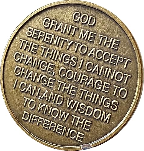 Miniatura 2 de Medallón AA NA de chip de sobriedad de llama de fénix de 2 años de color de las cenizas de la adicción