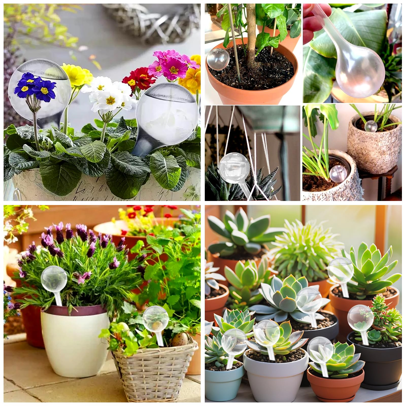 12 Pièces Globes d'Arrosage, Boules d'Irrigation pour Plantes, Bulbes d’Arrosage Automatique, Globes d’Arrosage en Plastique, Ampoules d'Arrosage, pour Arrosage Plante Interieur Fleurs Jardin en Pot