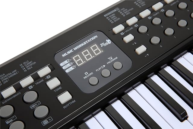 Foto 4 de 7 de Axman LP5450- Teclado/keyboard con micrófono y conector de alimentación