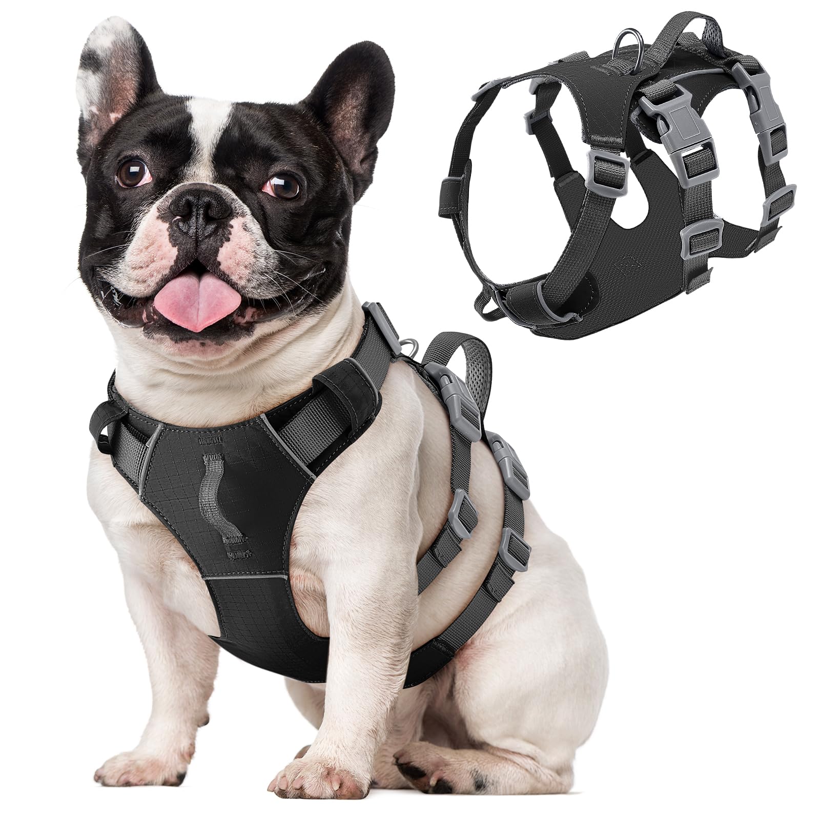 Eyein Escape Proof Dog Harness Small Medium Dog