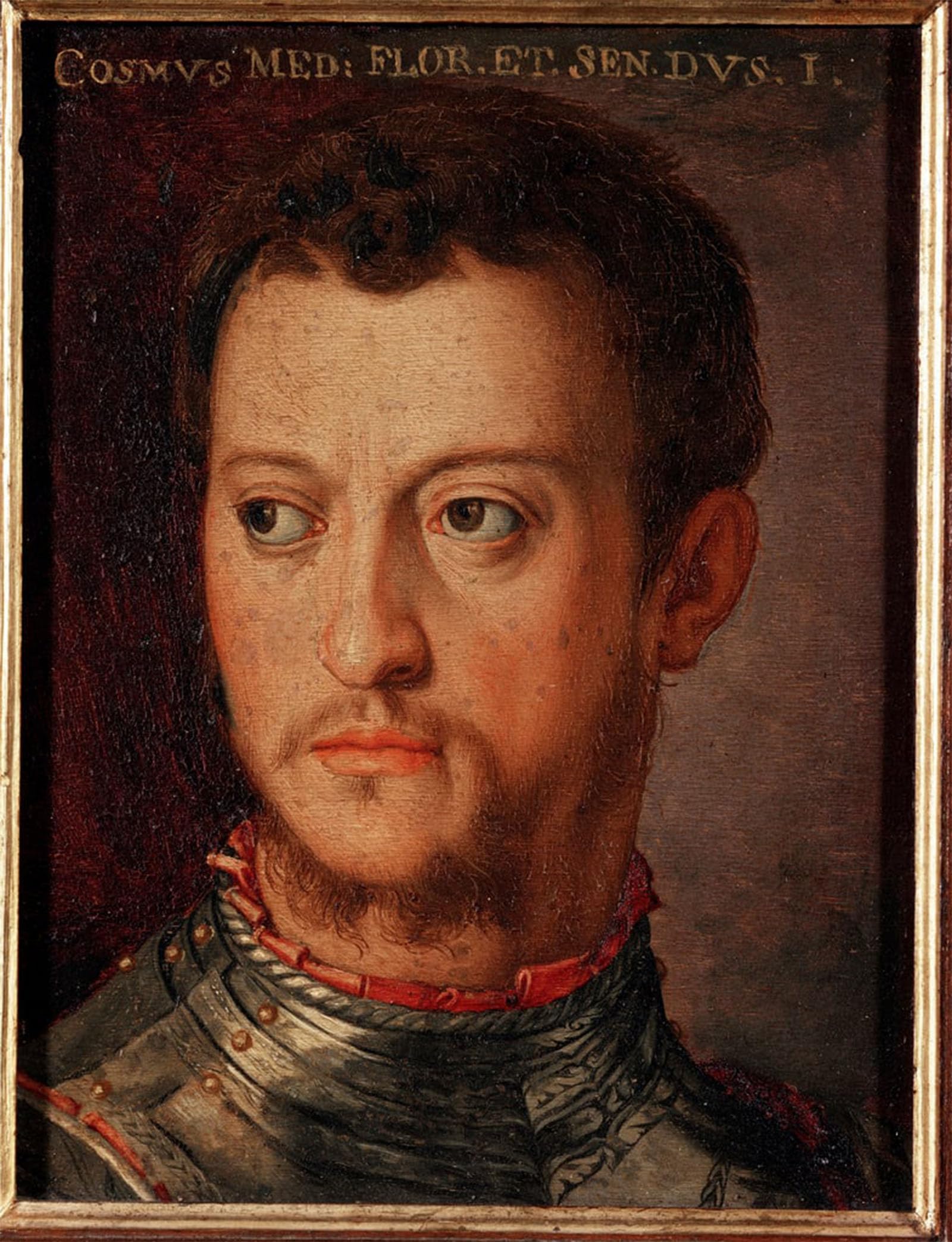SERENDIPITP Aesthetic Poster Photo Wall Print Retro Picture Portrait of Cosimo I of Medici by Agnolo Di Cosimo Bronzino Modern Wall Artwork for Home Decor 60x90cm