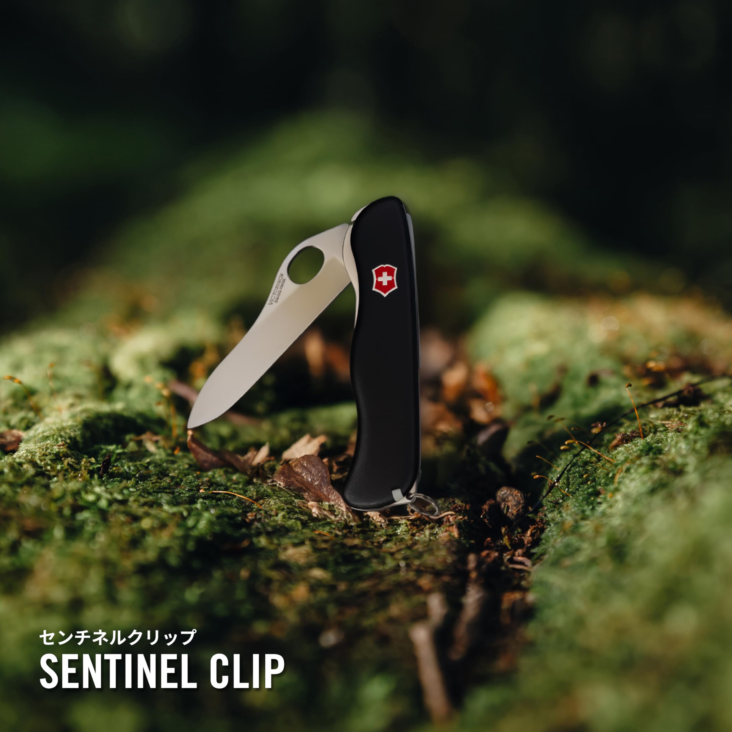 Amazon | VICTORINOX(ビクトリノックス) センチネルクリップ