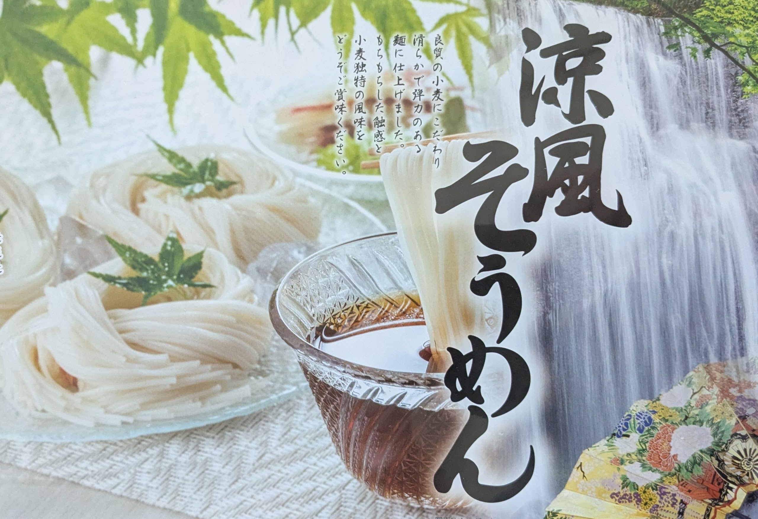 三輪そうめん大手 涼風 そうめん 16束 800g10箱セット Amazon.co.jp: 三輪そうめん大手 涼風そうめん RS-20R 800g 1セット