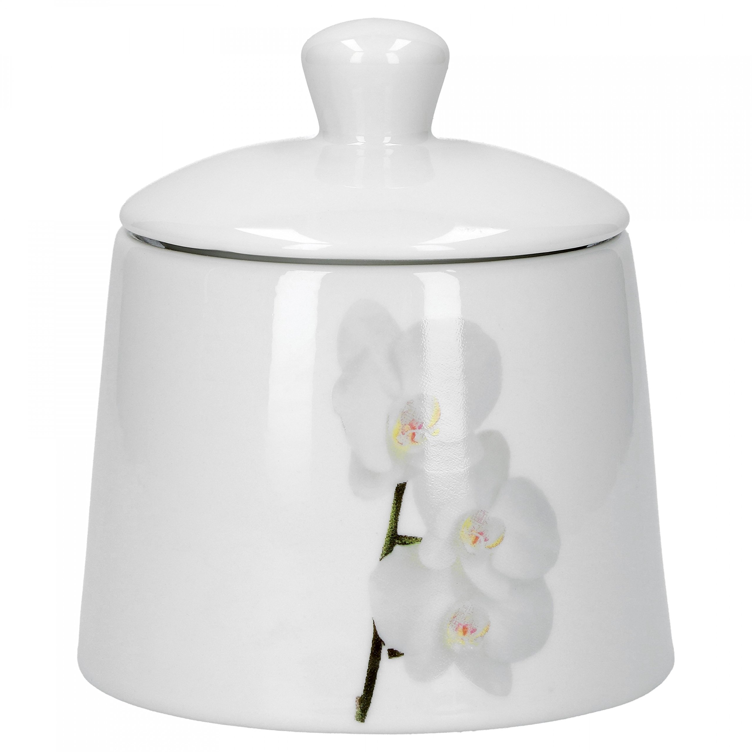 Van Well - Set di 6 piatti piani Kyoto, 250 x 250 mm, piatti piani grandi, piatti da servizio, piatti in porcellana, decorazione floreale, orchidea, rosa