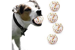 High-Performance Dog Balls for Aggressive Chewers (4-Pack)