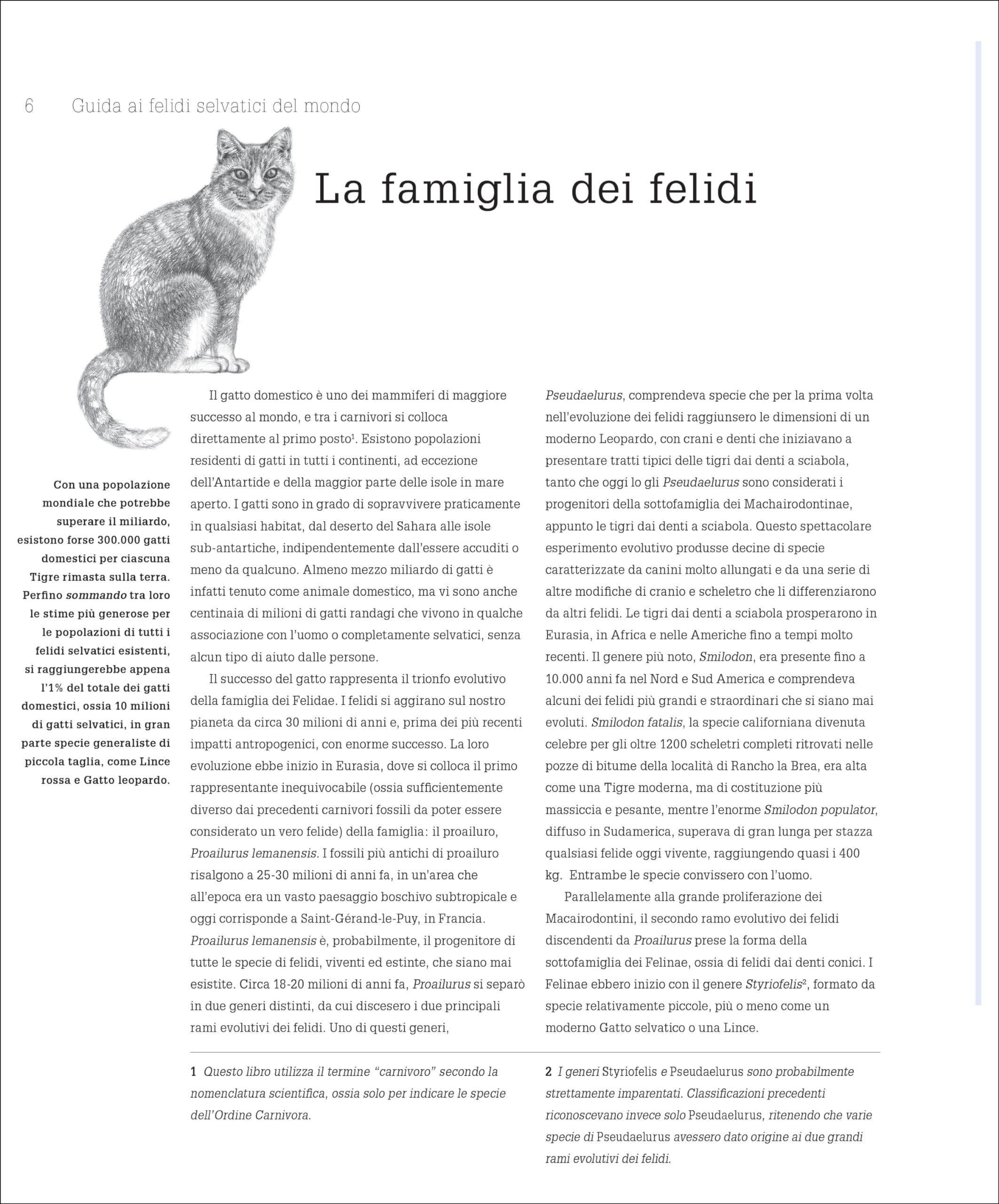 Guida ai felidi selvatici del mondo