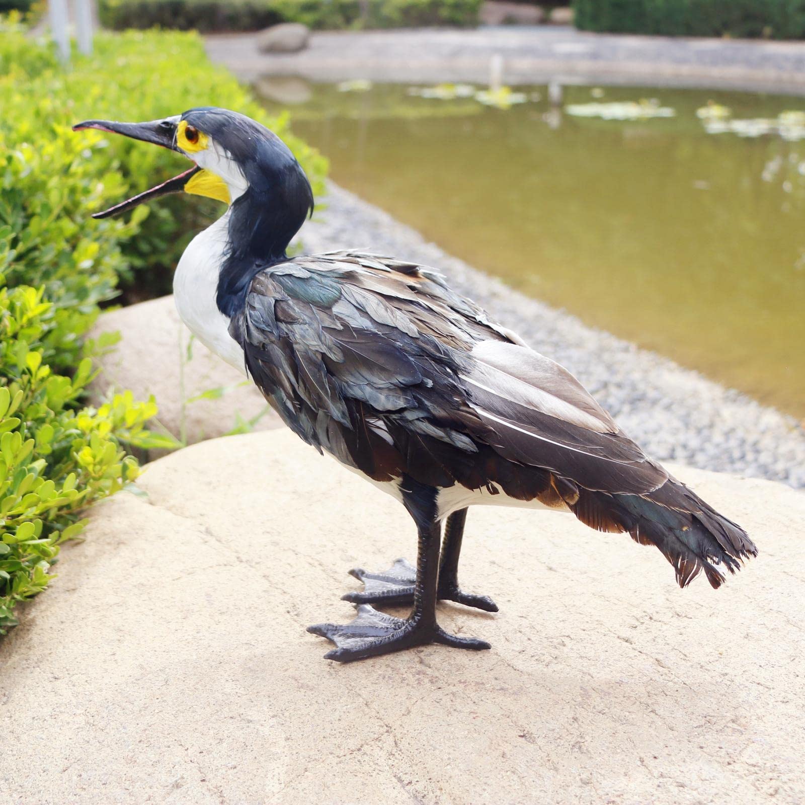 Realistische künstliche gefiederte Kormoran Statue Garten Schrank Heimdekoration Kormoran Statue Kunstsammlung