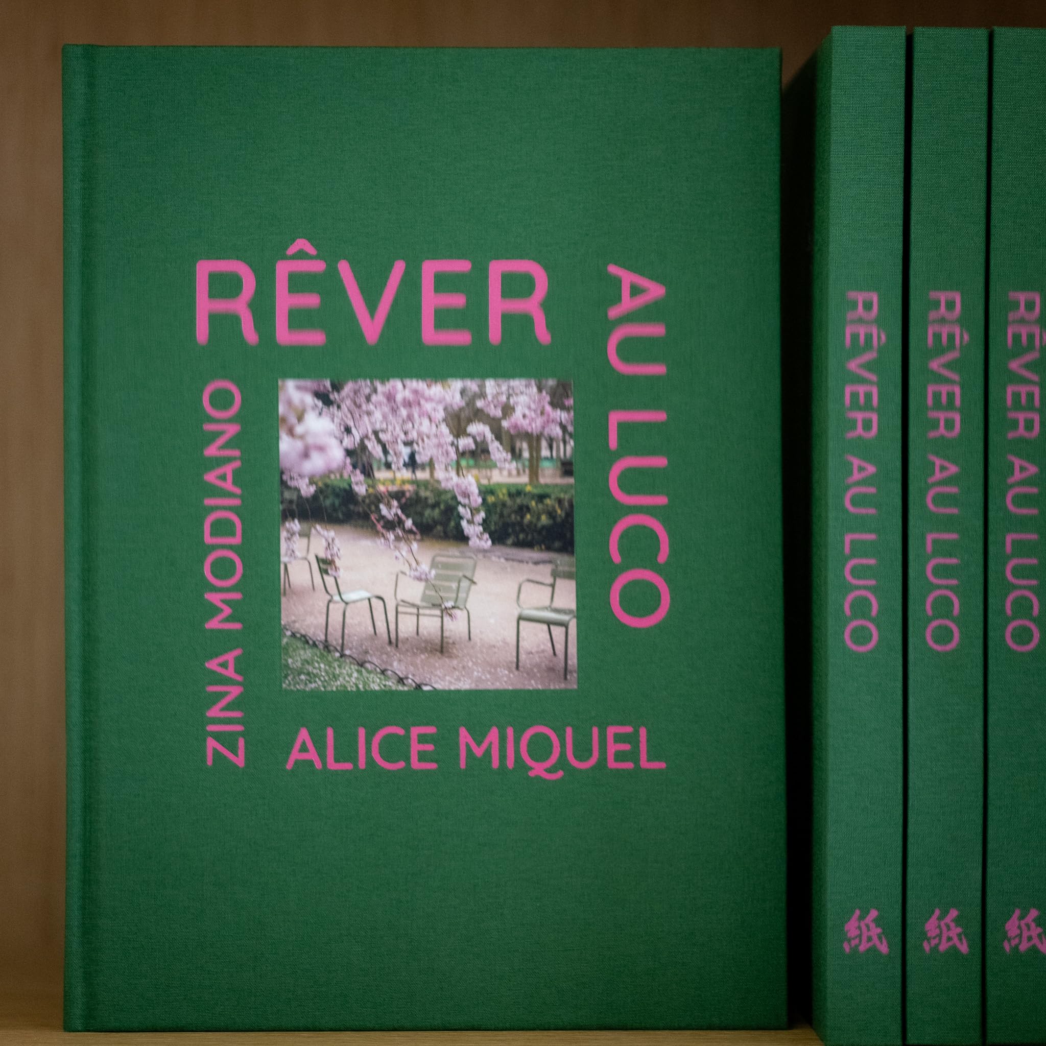 RÊVER AU LUCO