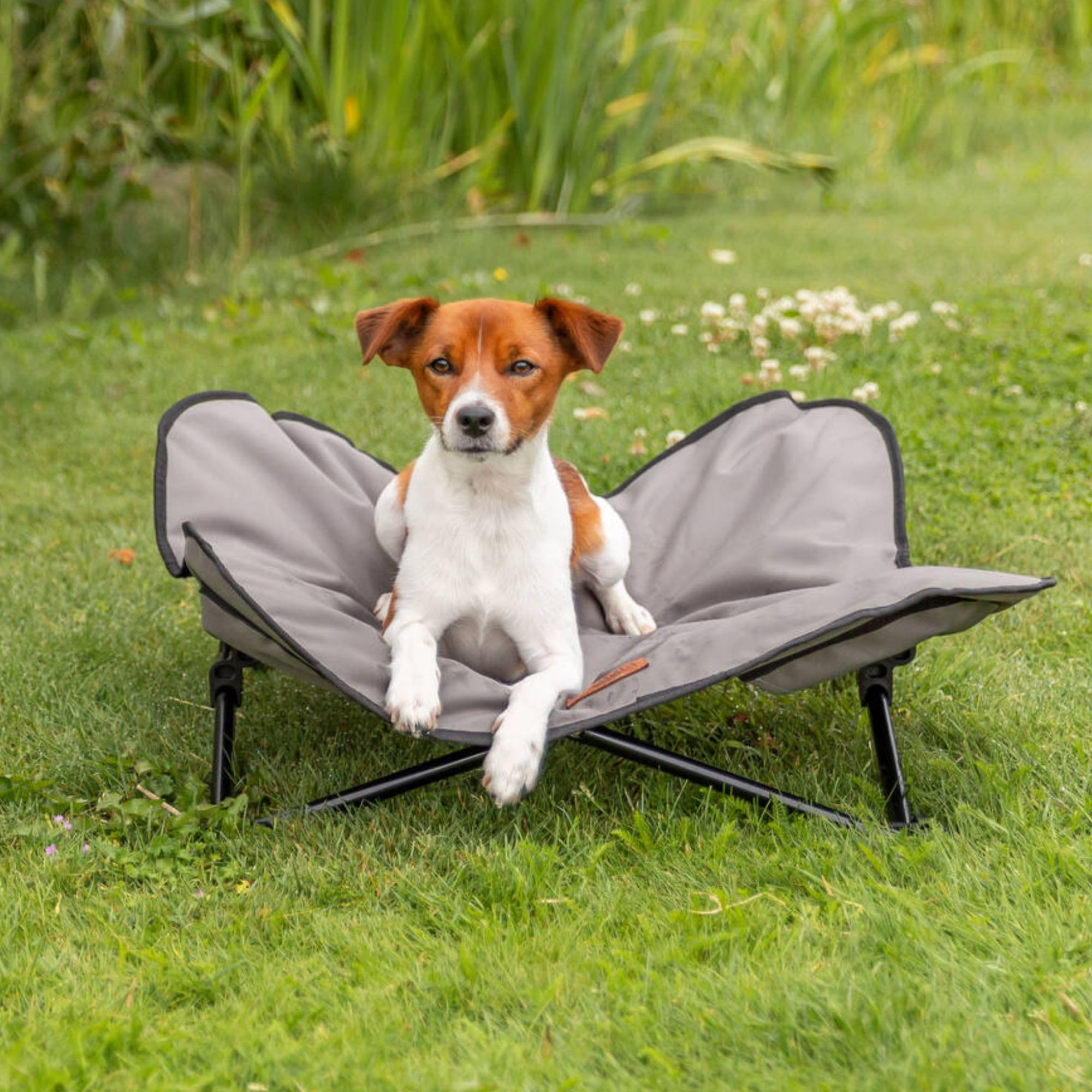 アウトドア寝具 DOG COT ND ver RETRO STRIPE WHAT WE WANT DOG COT ND ver RETRO STRIPE WHAT WE WANT