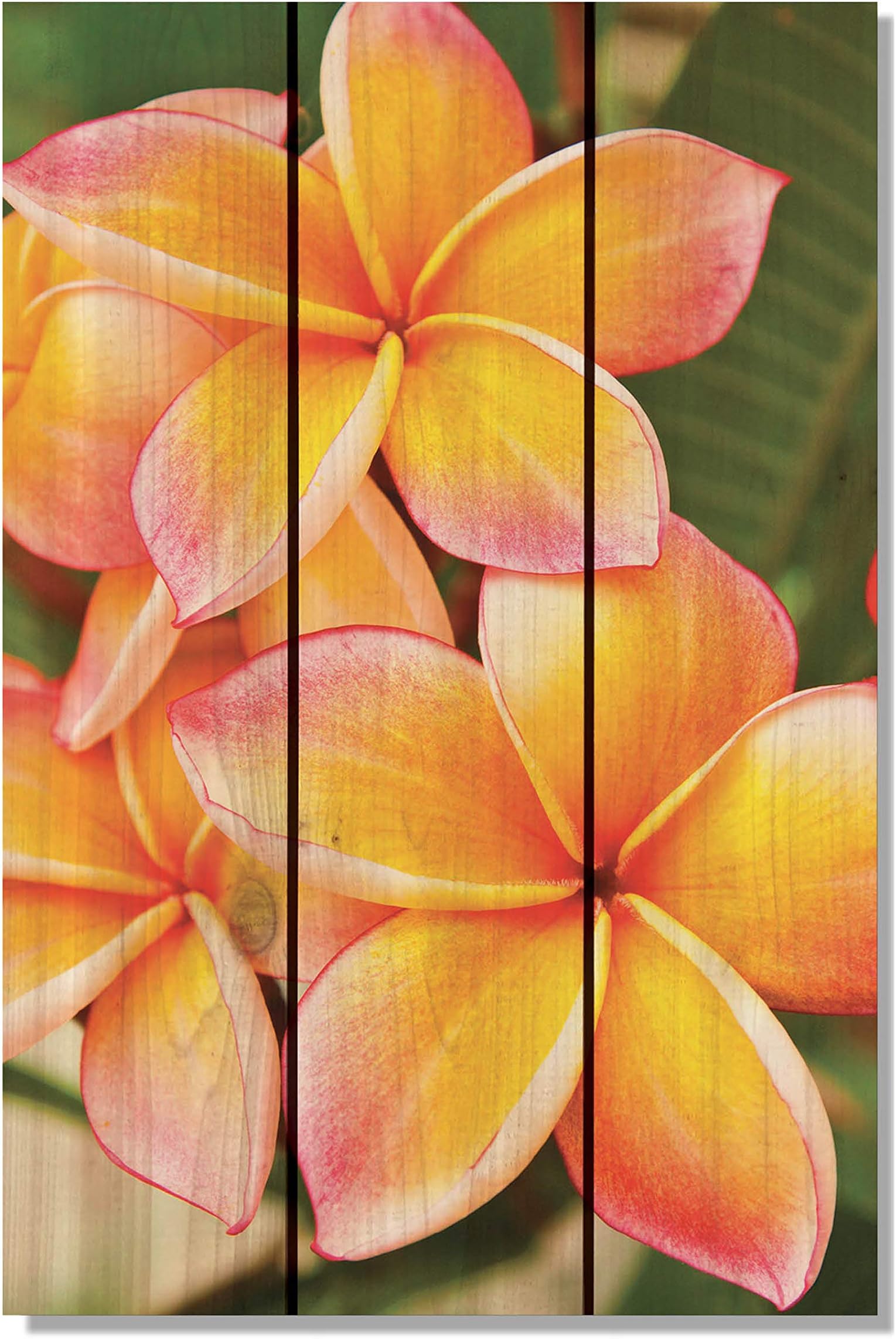 Tropical Flower Yard Art, 16 by 24-Inch