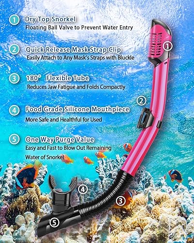 Miniatura 4 de Snorkeling Gear for Adults, Adult Snorkel Set with Panoramic Anti-Leak and Anti-Fog Tempered Glass Snorkel Mask, Dry Top Snorkel, Snorkle Mask Set