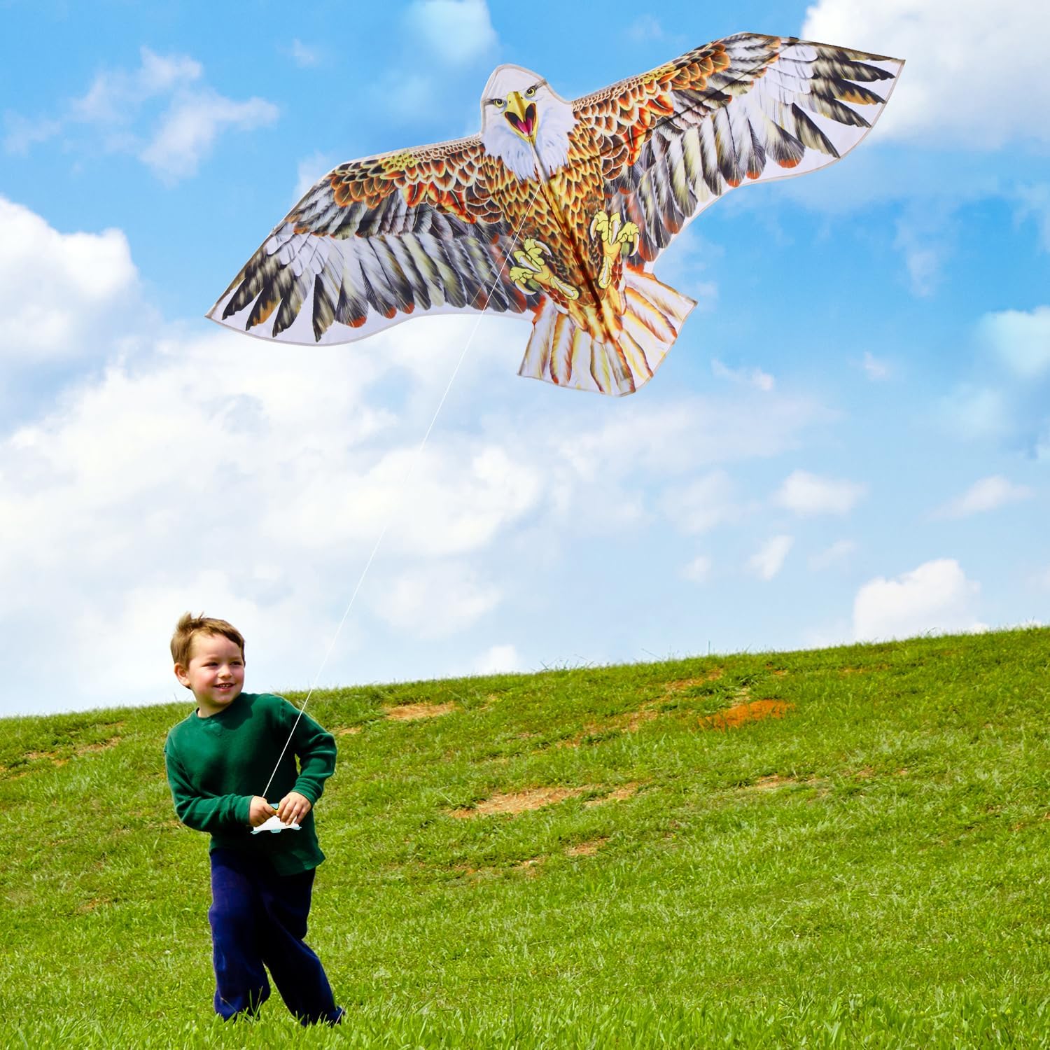 Bald Eagle Kite for Adults & Kids, Professional Durable Kites for Beginners, Outdoor Activities, Beach & Park - Easy Fly Kites Toys for Family Fun