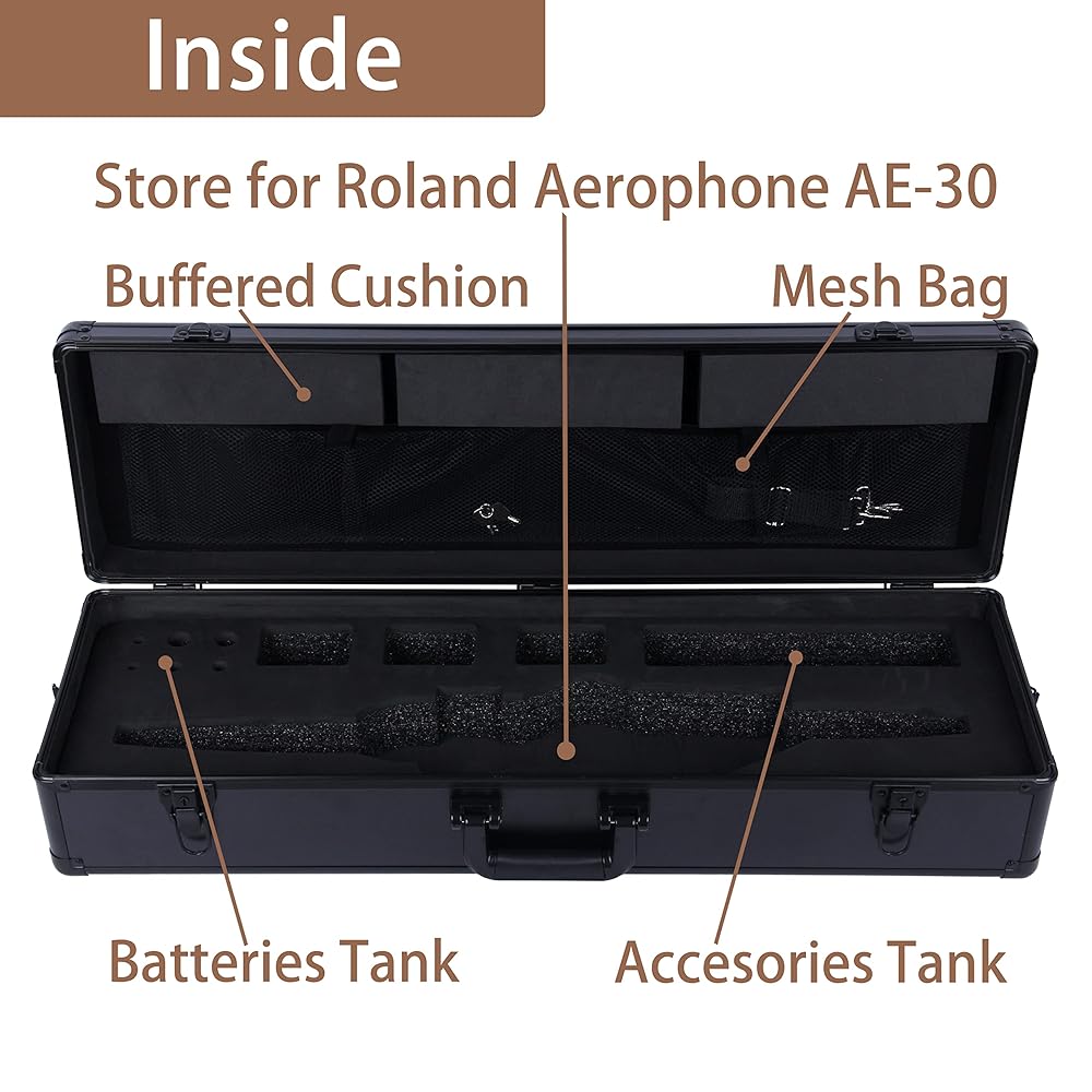 Roland Aerophone Pro AE-30　キャリングケース付き Roland Aerophone Pro AE-30 キャリングケース付き Roland