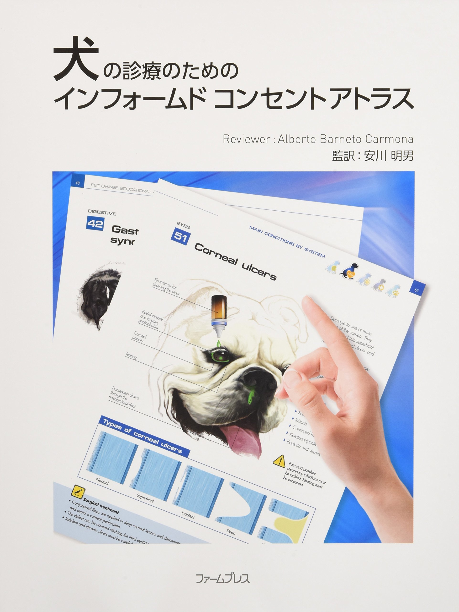 新品インフォームド・コンセントのためのドクターズアドバイスマニュアル 犬の病気編 Amazon.co.jp: 犬と猫の病気をやさしく解説 インフォームド