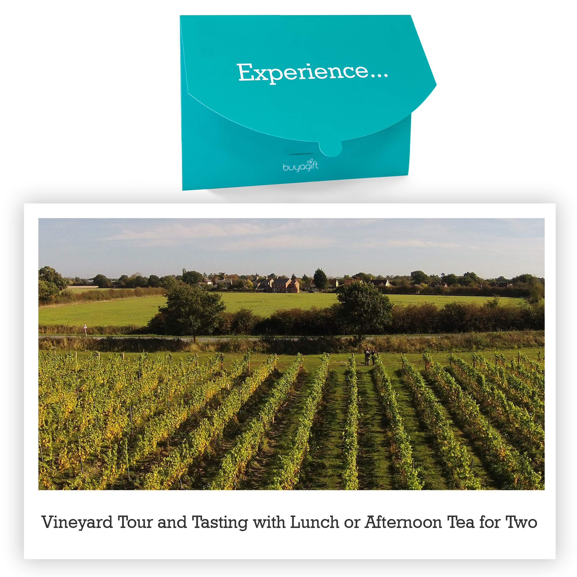 Buyagift Vineyard Tour & Tasting Experience with Lunch or Afternoon Tea for 2
