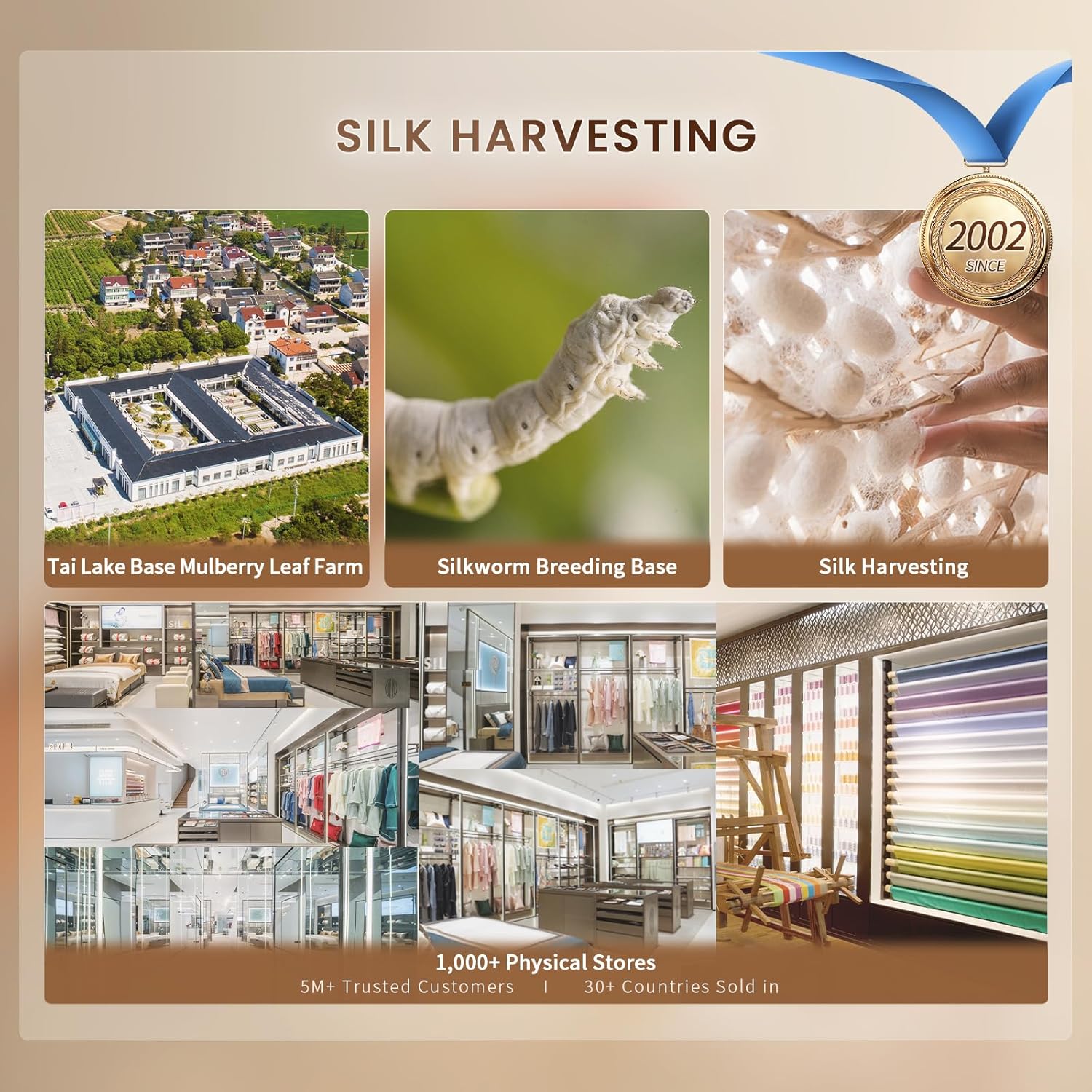 THXSILK 100% Pure Mulberry Silk Duvet Cover Set 3 Piece, 6A+ Grade Luxury Soft Bedding Silk Sheets for Hair and Skin, 1 Pcs Duvet/Quilt/Comforter Cover with 2 Zippered Pillowcases (Champagne, Twin) - Image 9