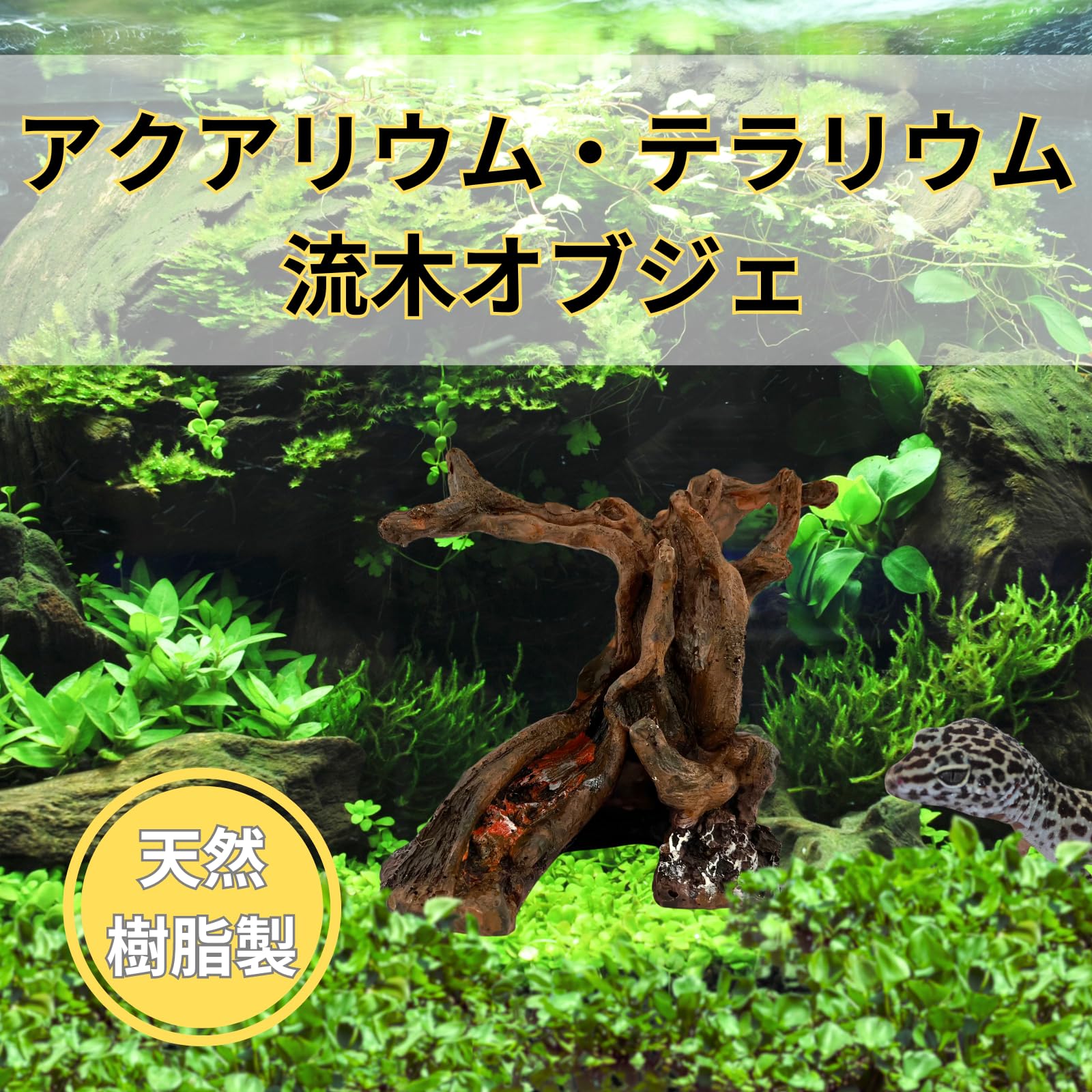 Amazon.co.jp: Nanarico 爬虫類 流木 登り木 テラリウム アクア 