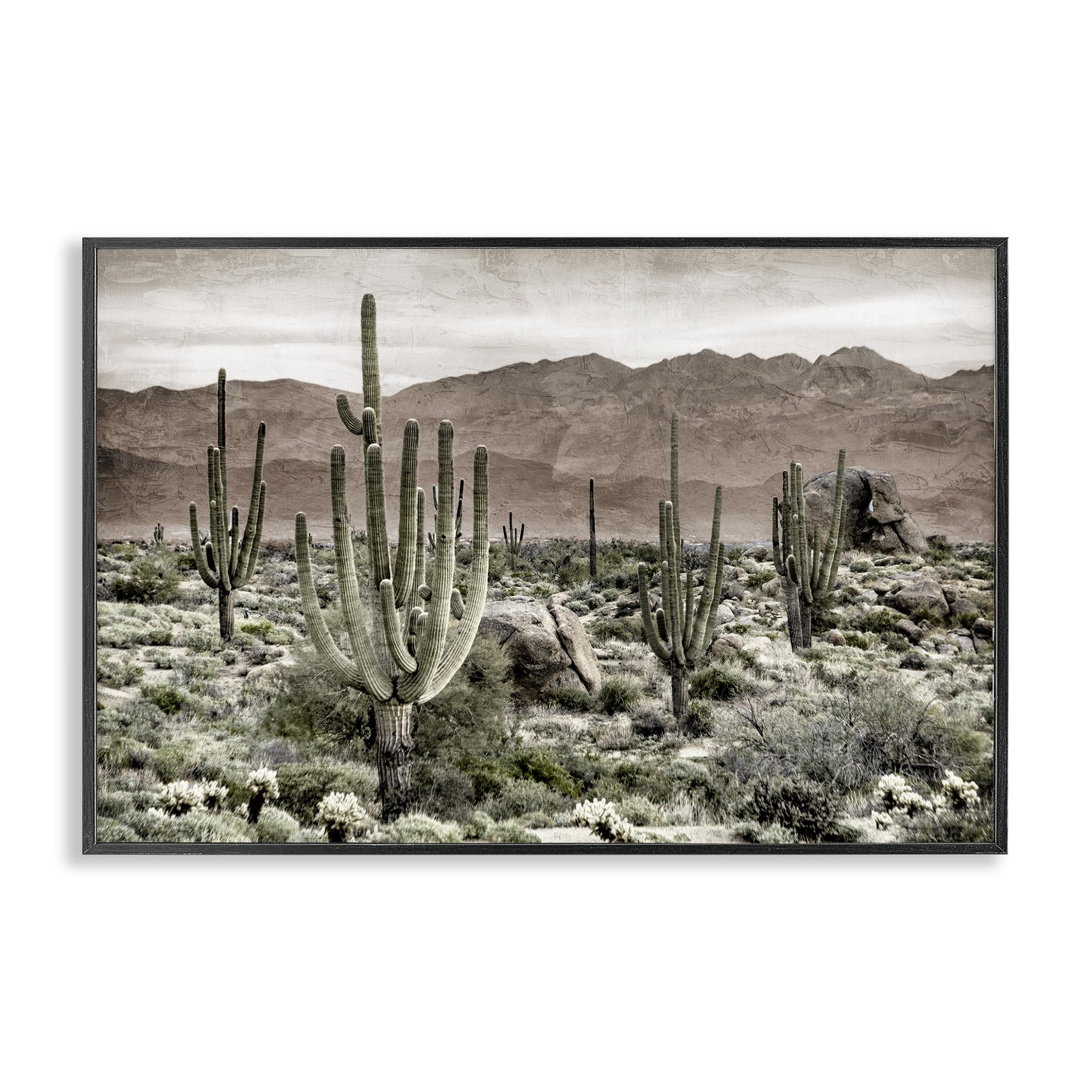 Stupell Industries Southwestern Desert Cactus Wilderness 'Desert Land Cacti Wilderness', Framed Giclee Art, Black, 18 X 12 Inches, Easy To Hang And Sturdy, Made In Usa, By Kim Allen