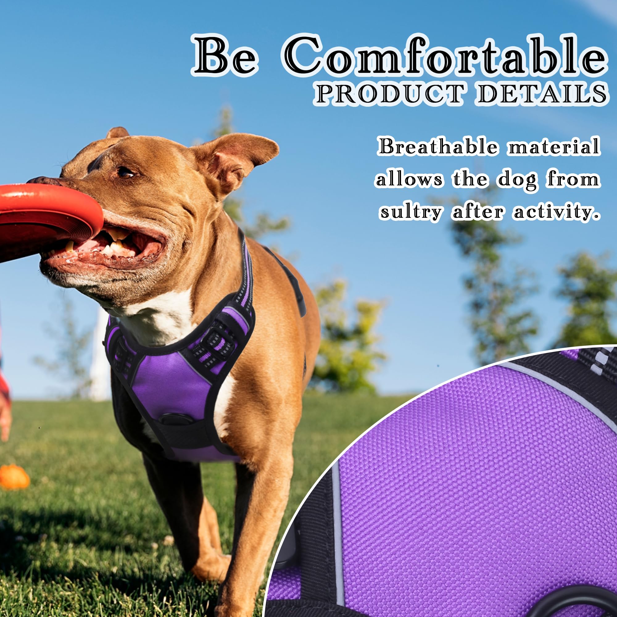 Funfox Dog Harness Small Dog, 2 Clips No Pull Vest Harness Handle Control - Image 2
