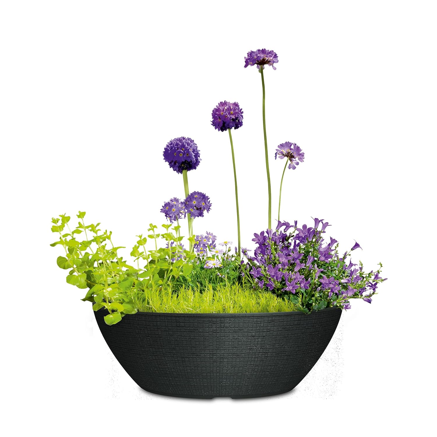 Scheurich Barceo Oval Planter - Stony Black, 19.5cm H x 59cm W x 58.2cm D - Made with Recycled Plastic - 10 Year Guarantee - Outdoor Use