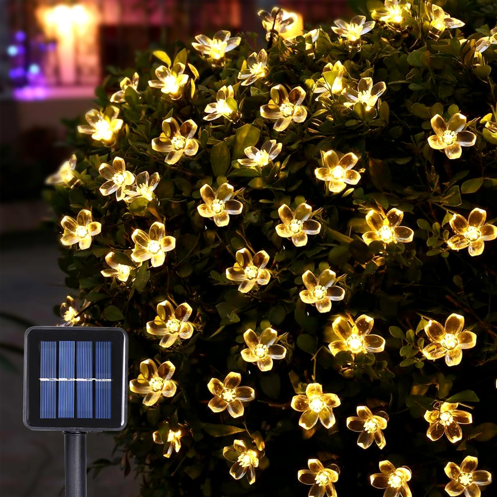 Solar LED Cadena Luces, luces solares de hadas en flor de melocotón, 12 M 100 LED 8 modos, luces de cadena impermeables para patio, árbol de Navidad, fiesta de césped, decoración de Acción de Gracias