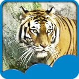 O Durchsuchen Sie die Fotos und wählen Sie die, die Ihnen am besten gefällt