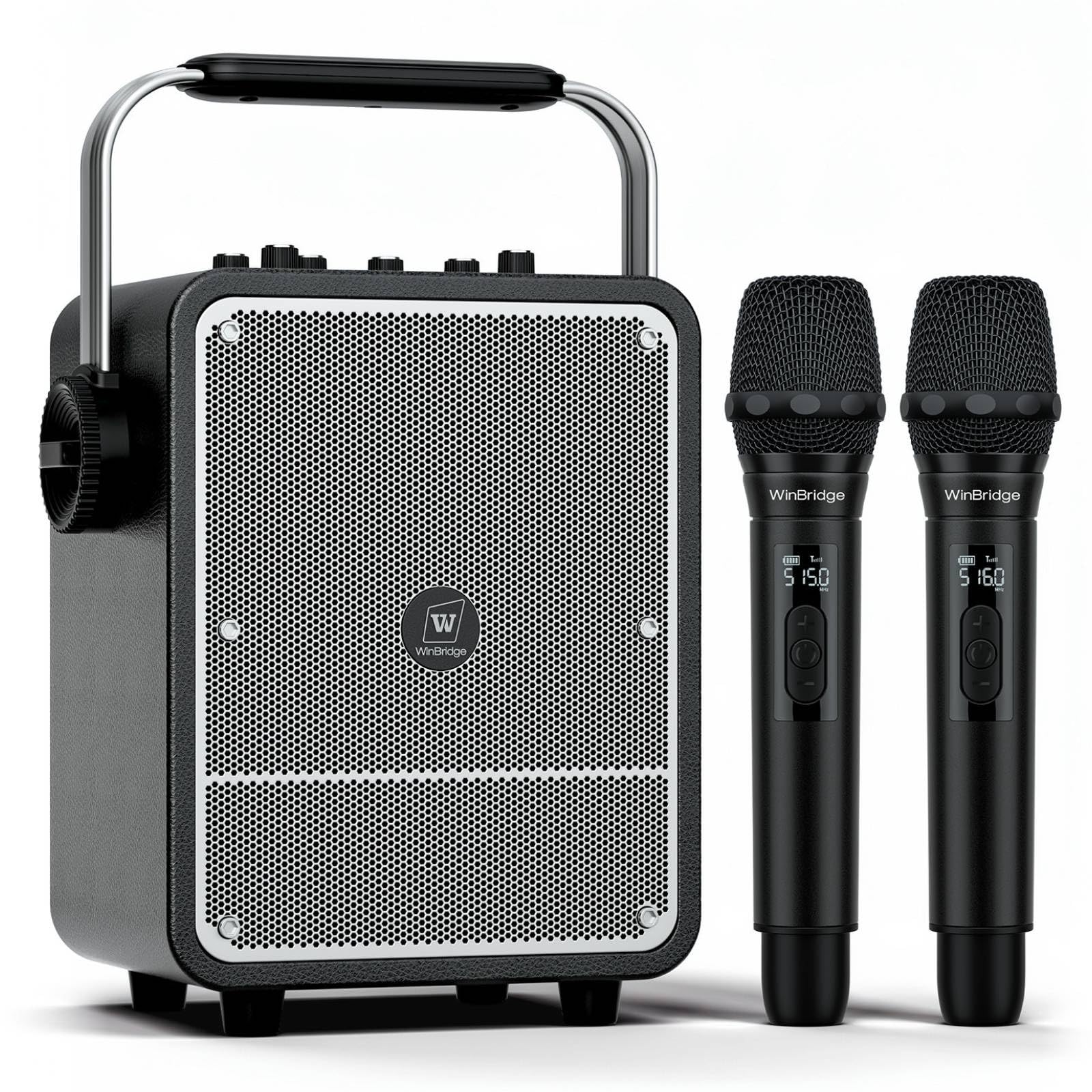 その他 LAV SERIES 150 KARAOKE HOT MENU! TAV-142 Amazon.com: 150W High-Power Karaoke Machine with 2 Wireless