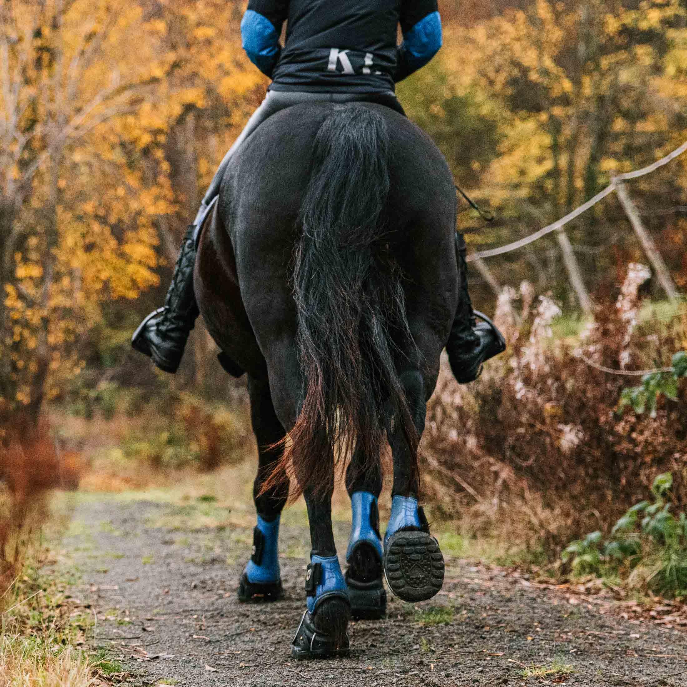 EF Jogging Chaussures à cheval (1) Ultimate 7 Bleu | (1)